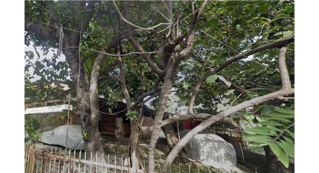 TANAH 210 DENGAN BONUS RUMAH TUA MAKALIWE II GANG I NO. 24 JAKARTA BARAT - Foto 3