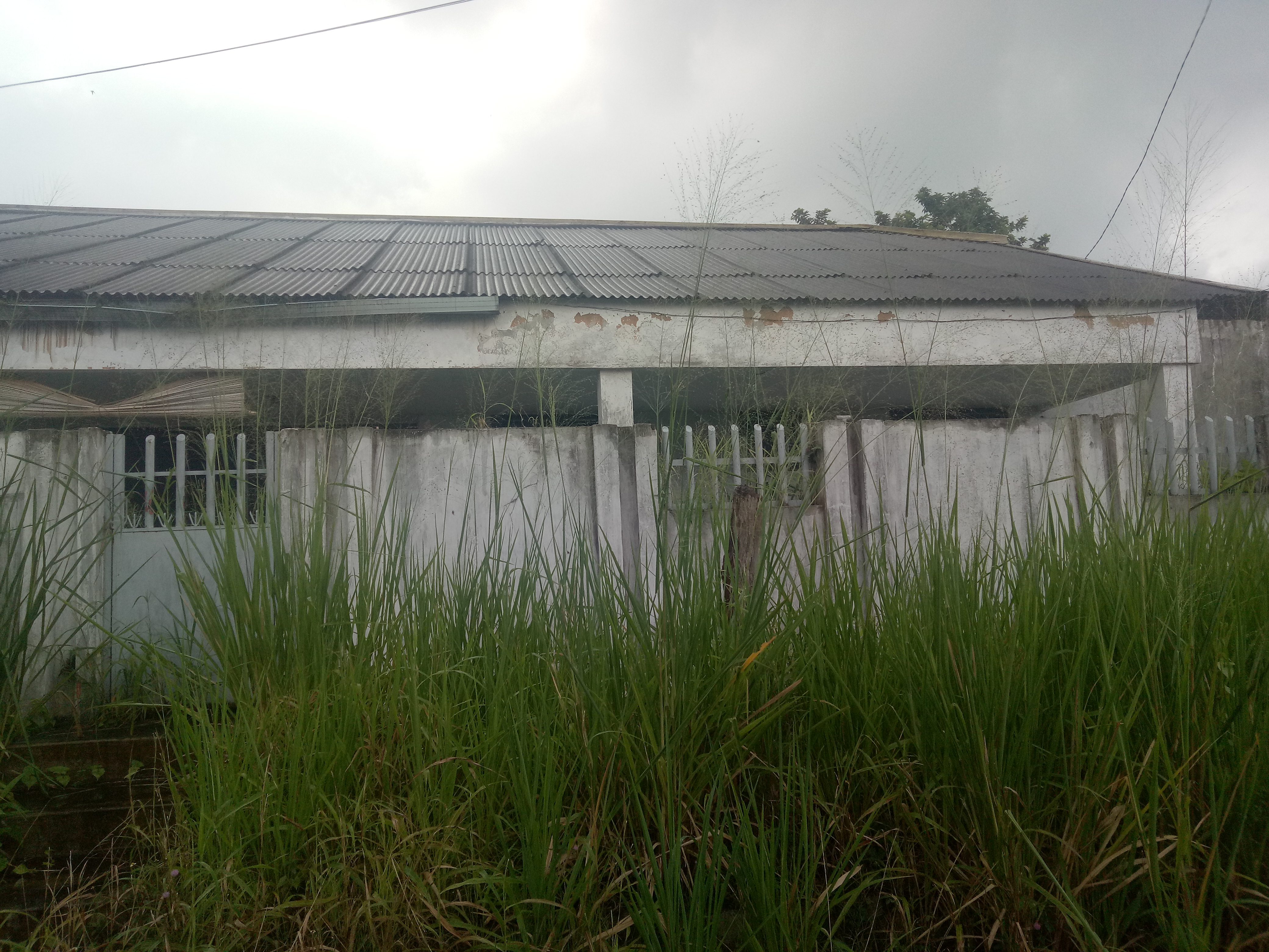 600 METER PERSEGI TANAH DIJUAL BONUS BANGUNAN TUA 145 JALAN ASTER PAKUAN TAJUR - Foto 3