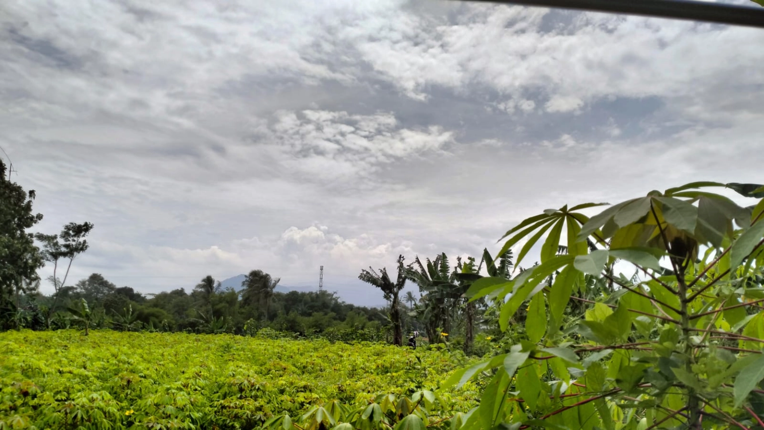 DIJUAL KAVLING 500 METER CADAS NGAMPAR SUKARAJA KABUPATEN BOGOR - Foto 2