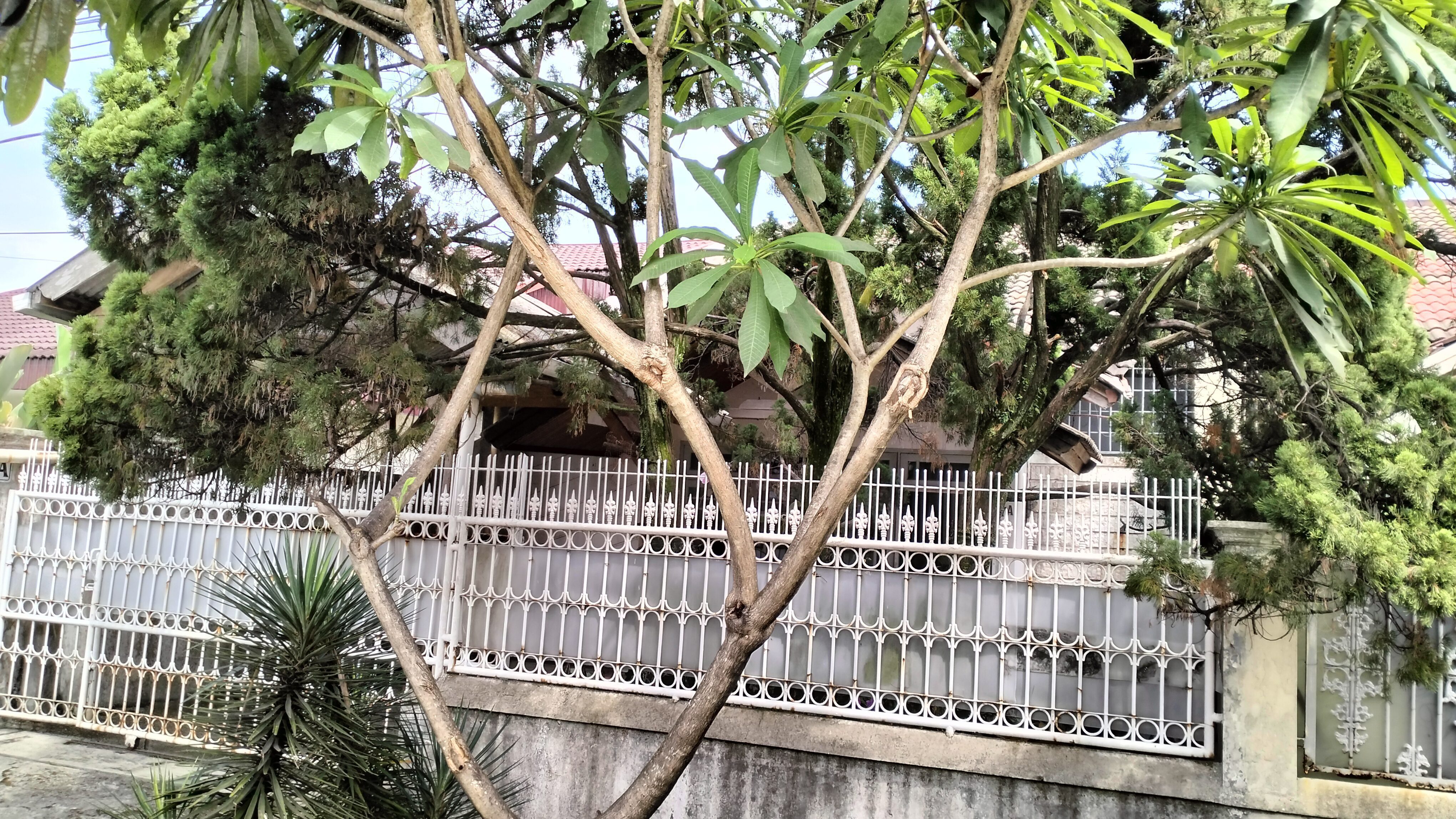 DIJUAL RUMAH 219-142 JL. HAUR JAYA KEBON PEDES BOGOR TENGAH - Foto 2