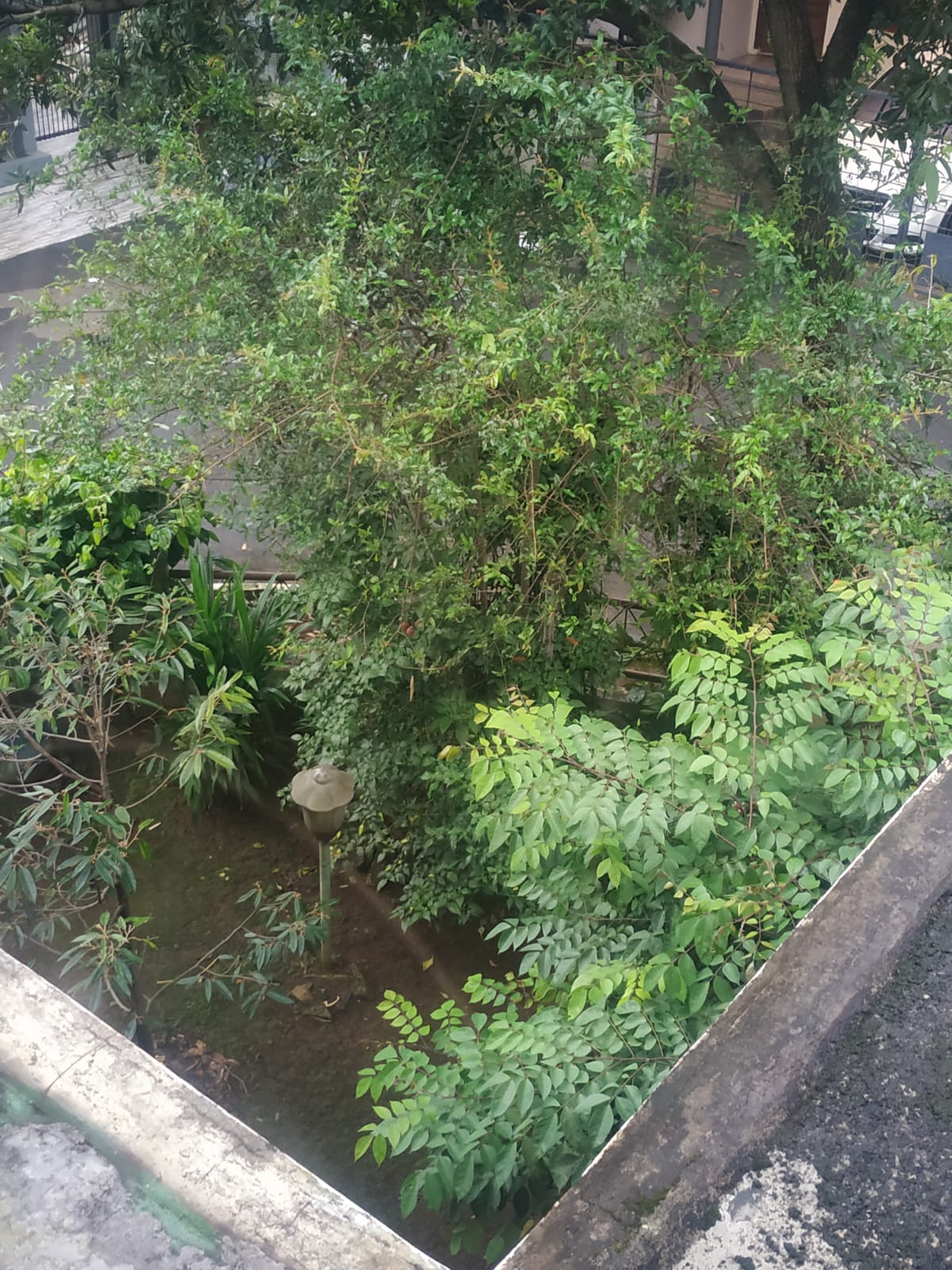 DIJUAL RUMAH 2 LANTAI 173-200 KATELIA RAYA PERUMAHAN TAMAN YASMIN SEKTOR III - Foto 7