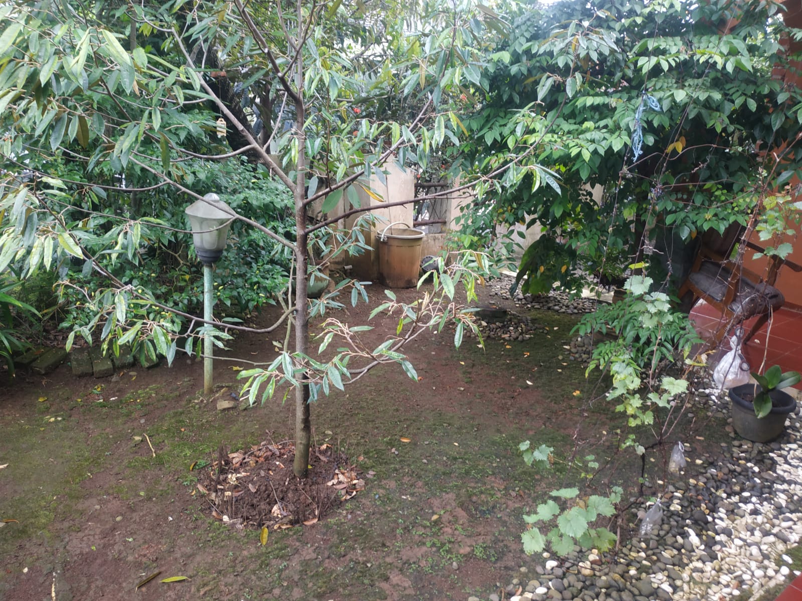 DIJUAL RUMAH 2 LANTAI 173-200 KATELIA RAYA PERUMAHAN TAMAN YASMIN SEKTOR III - Foto 13