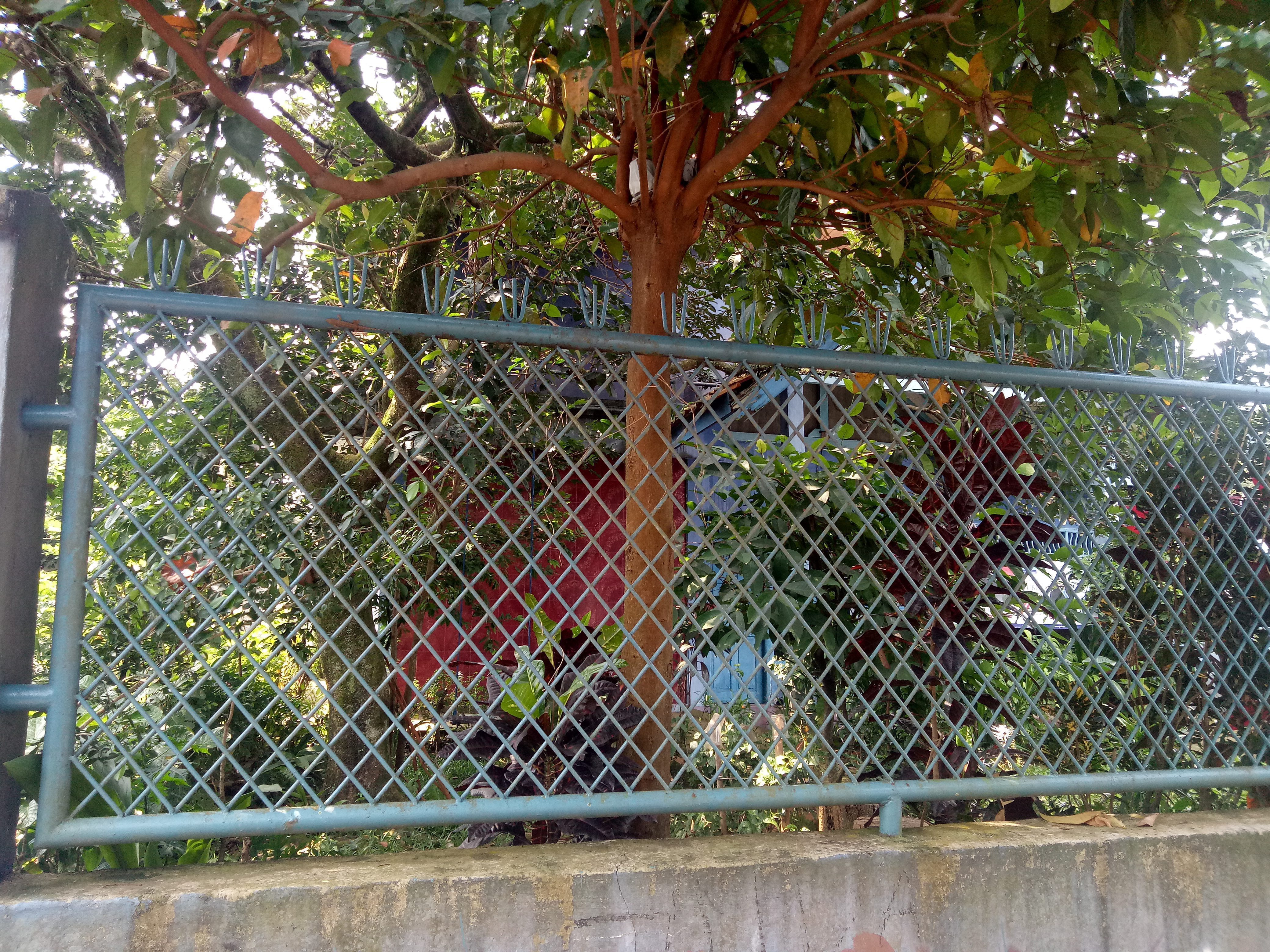 DIJUAL KAVLING 514 METER PERSEGI BONUS BANGUNAN TUA CILENDEK INDAH IV BOGOR - Foto 5