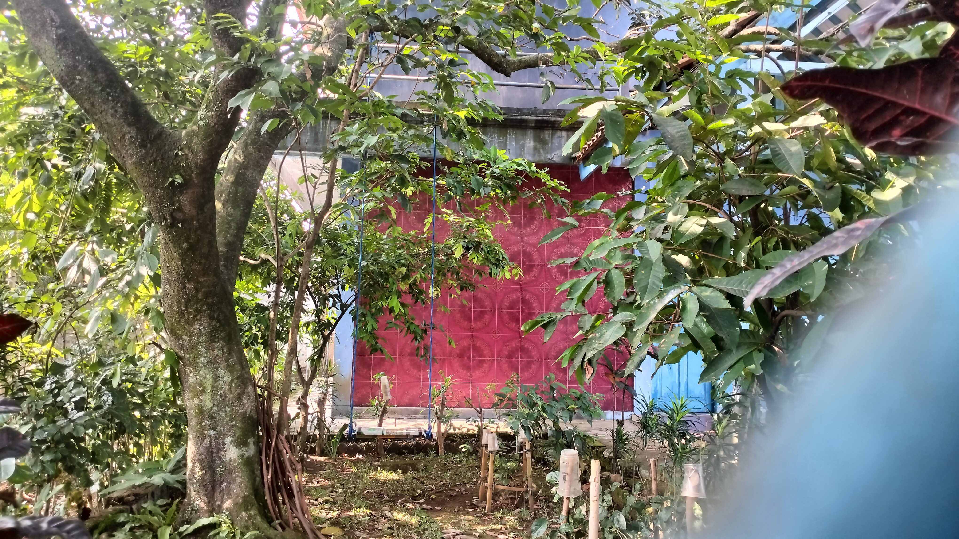 DIJUAL KAVLING 514 METER PERSEGI BONUS BANGUNAN TUA CILENDEK INDAH IV BOGOR - Foto 9