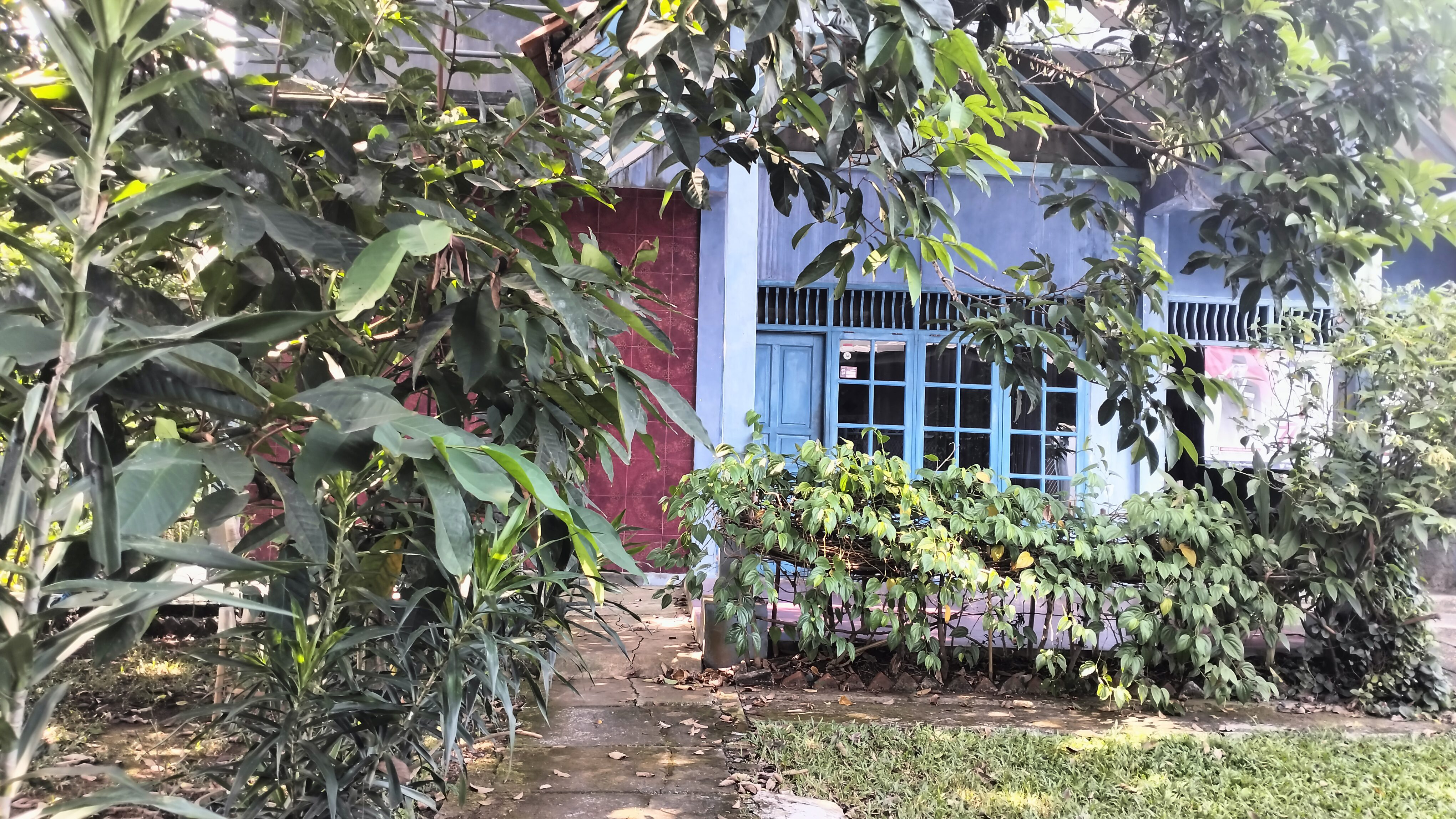 DIJUAL KAVLING 514 METER PERSEGI BONUS BANGUNAN TUA CILENDEK INDAH IV BOGOR - Foto 10