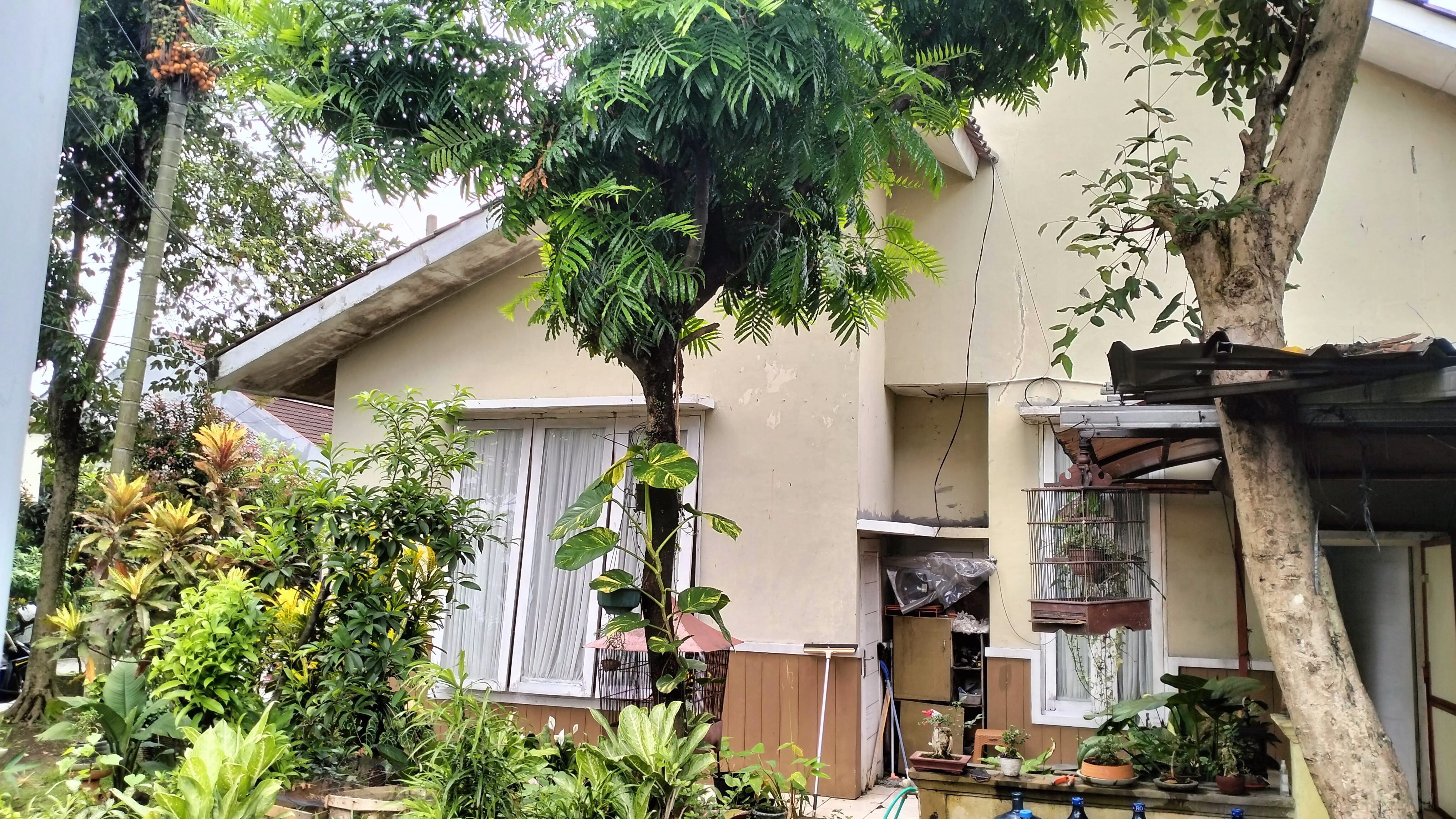 RUMAH ASRI DIJUAL 253-45 LALADON BARU RESIDENCE CIOMAS BOGOR - Foto 4