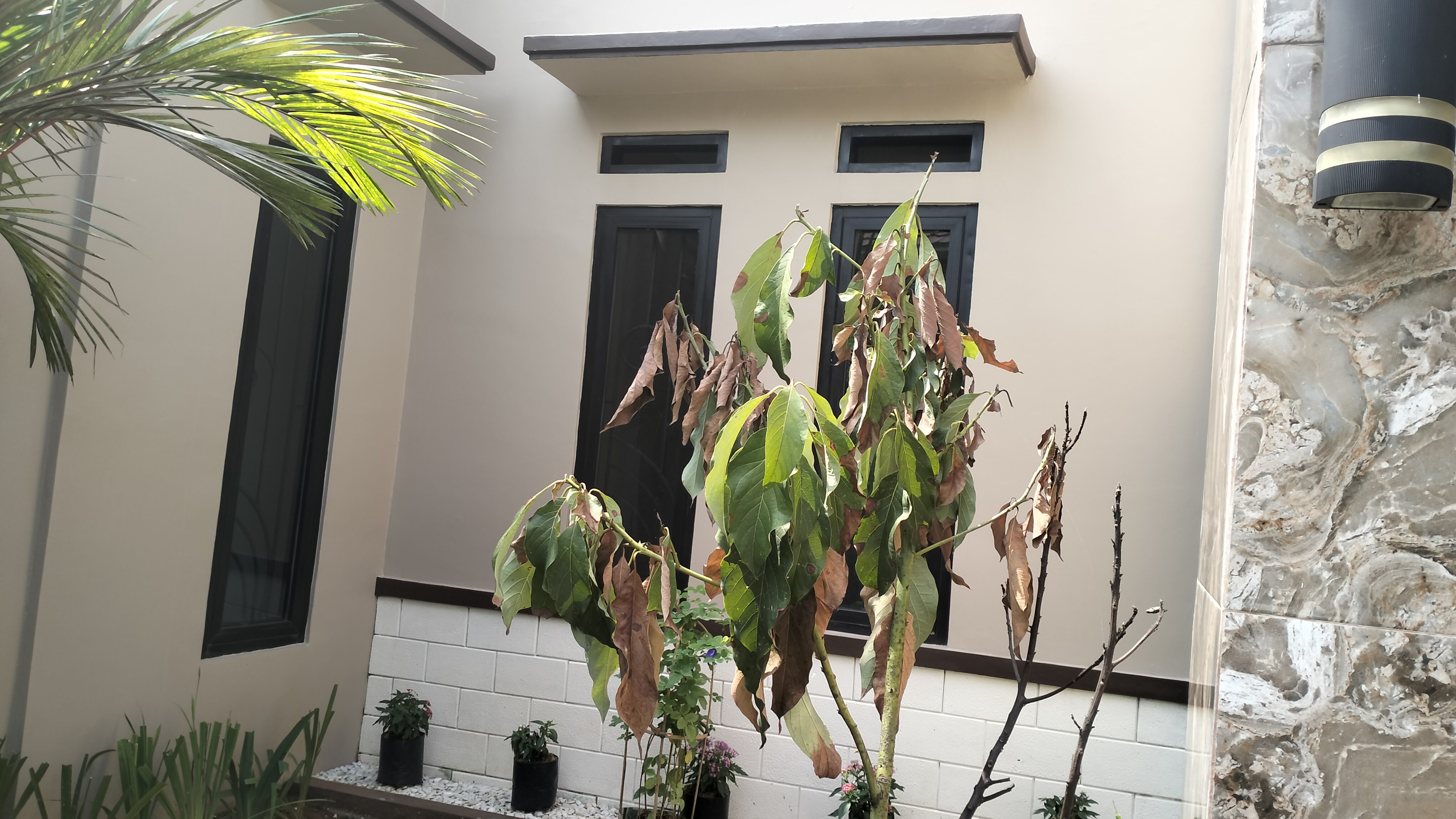 RUMAH ASRI MINIMALIS DUA LANTAI 132-170 DIJUAL KP. CIPEUTEUY SUKARAJA KAB. BOGOR - Foto 3
