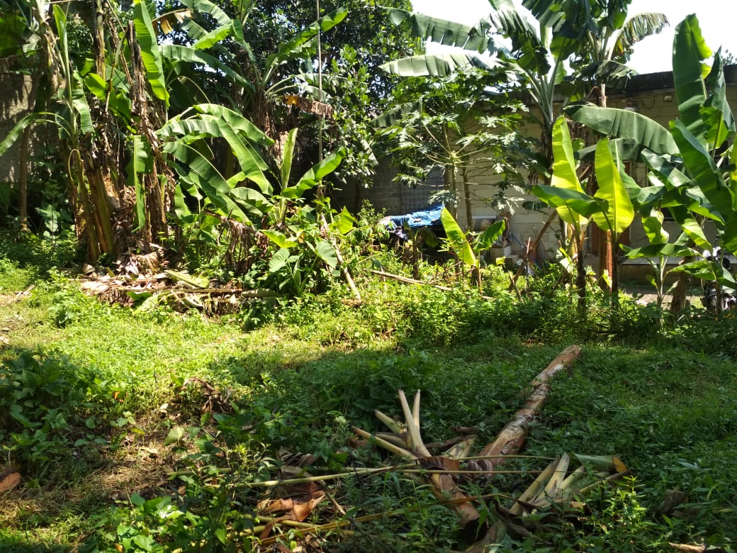DIJUAL KAVLING 1.220 METER PERSEGI JL. MEKAR SALUYU CILENDEK BARAT BOGOR BARAT - Foto 6