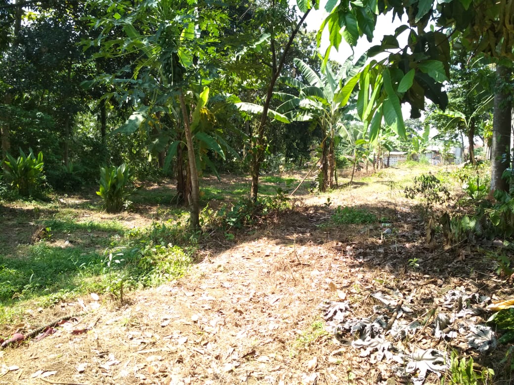 DIJUAL KAVLING 1.220 METER PERSEGI JL. MEKAR SALUYU CILENDEK BARAT BOGOR BARAT - Foto 7