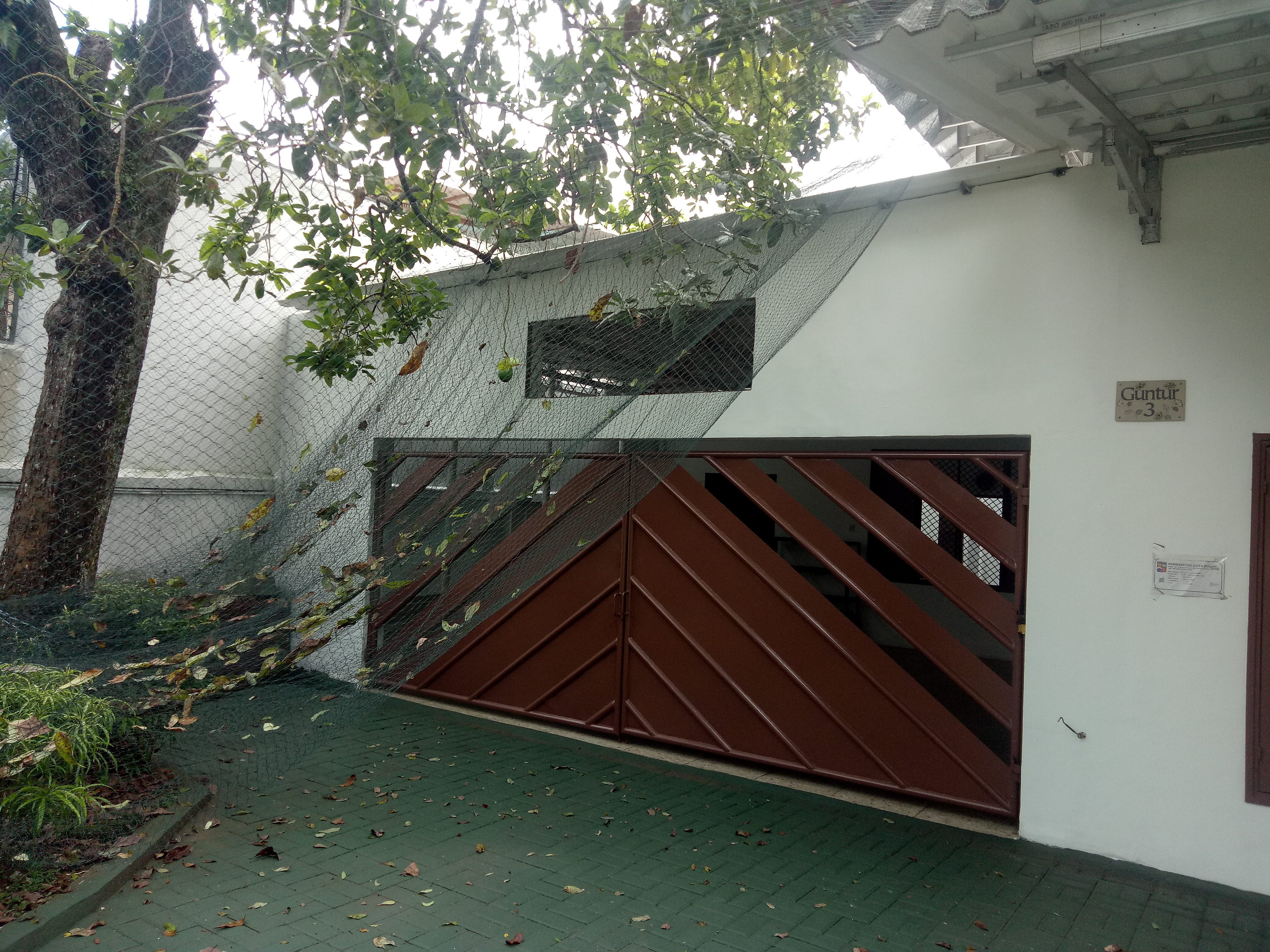 DIJUAL RUMAH 700-200 JL. GUNTUR BABAKAN BOGOR TENGAH - Foto 4