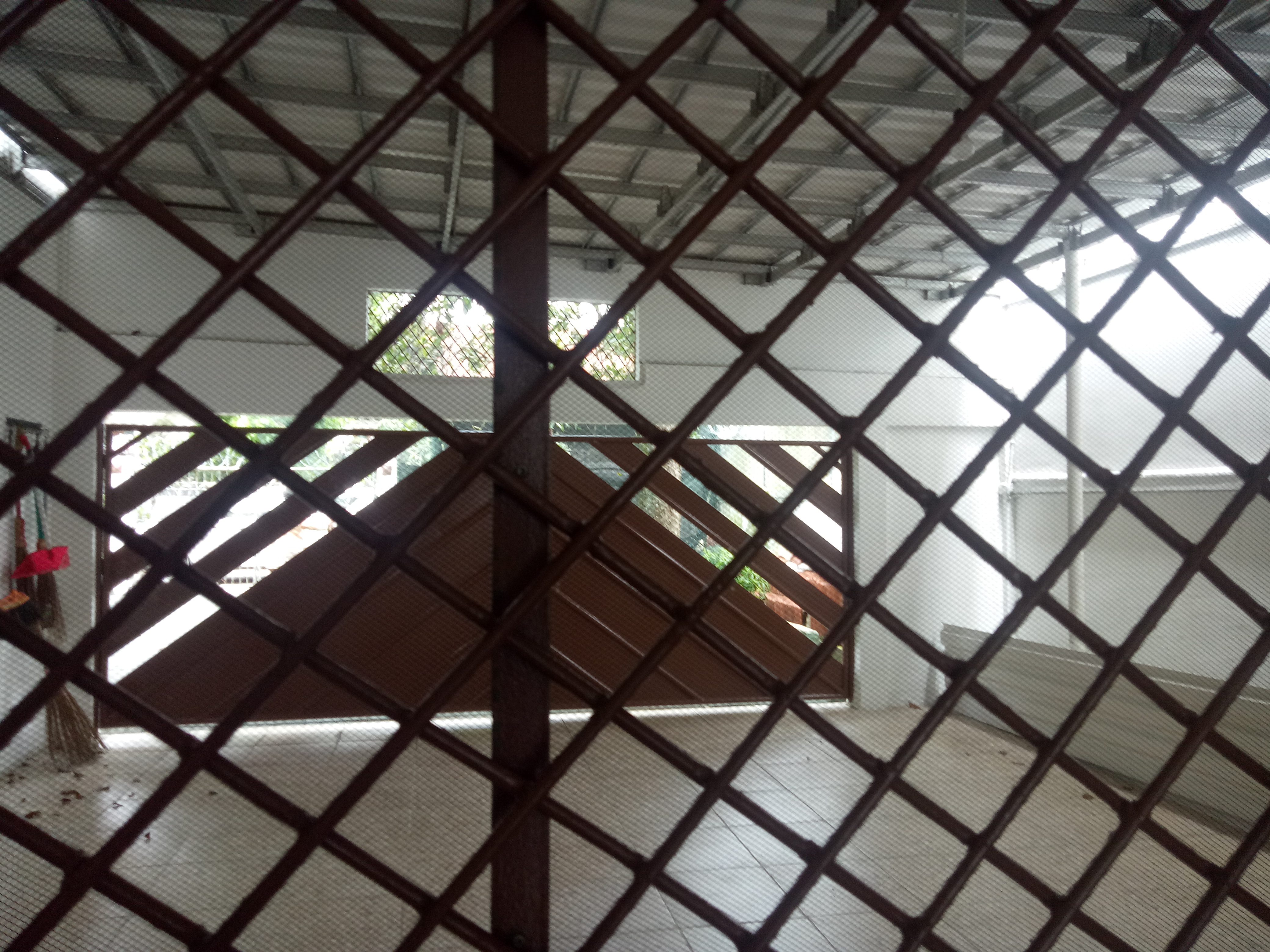 DIJUAL RUMAH 700-200 JL. GUNTUR BABAKAN BOGOR TENGAH - Foto 21