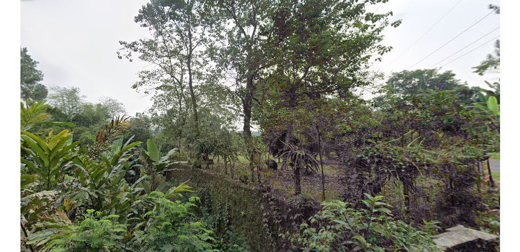 DISEWA KAVLING 3.400 METER PERSEGI GUNUNG MALANG CIAPUS KABUPATEN BOGOR - Foto 5