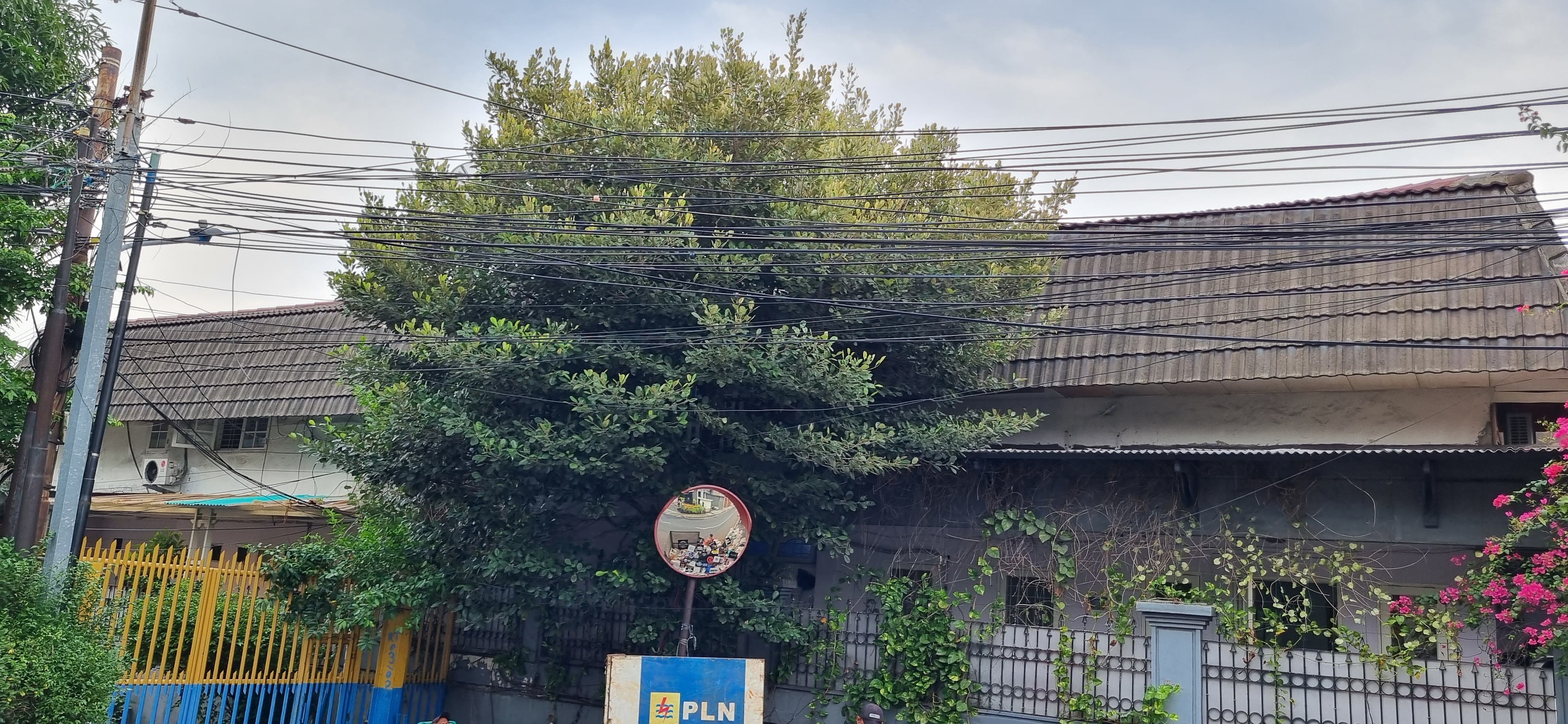 Jual Cepat Rumah 2 kavling di Tomang Grogol Petamburan Jakarta Barat (ID) - Foto 12