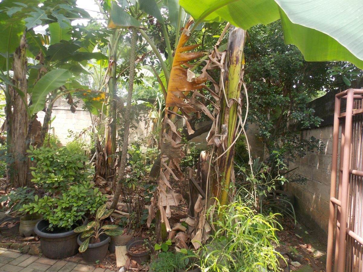 Dijual tanah di dalam perumahan daerah Pondok ArenTangerang Selatan - Foto 5