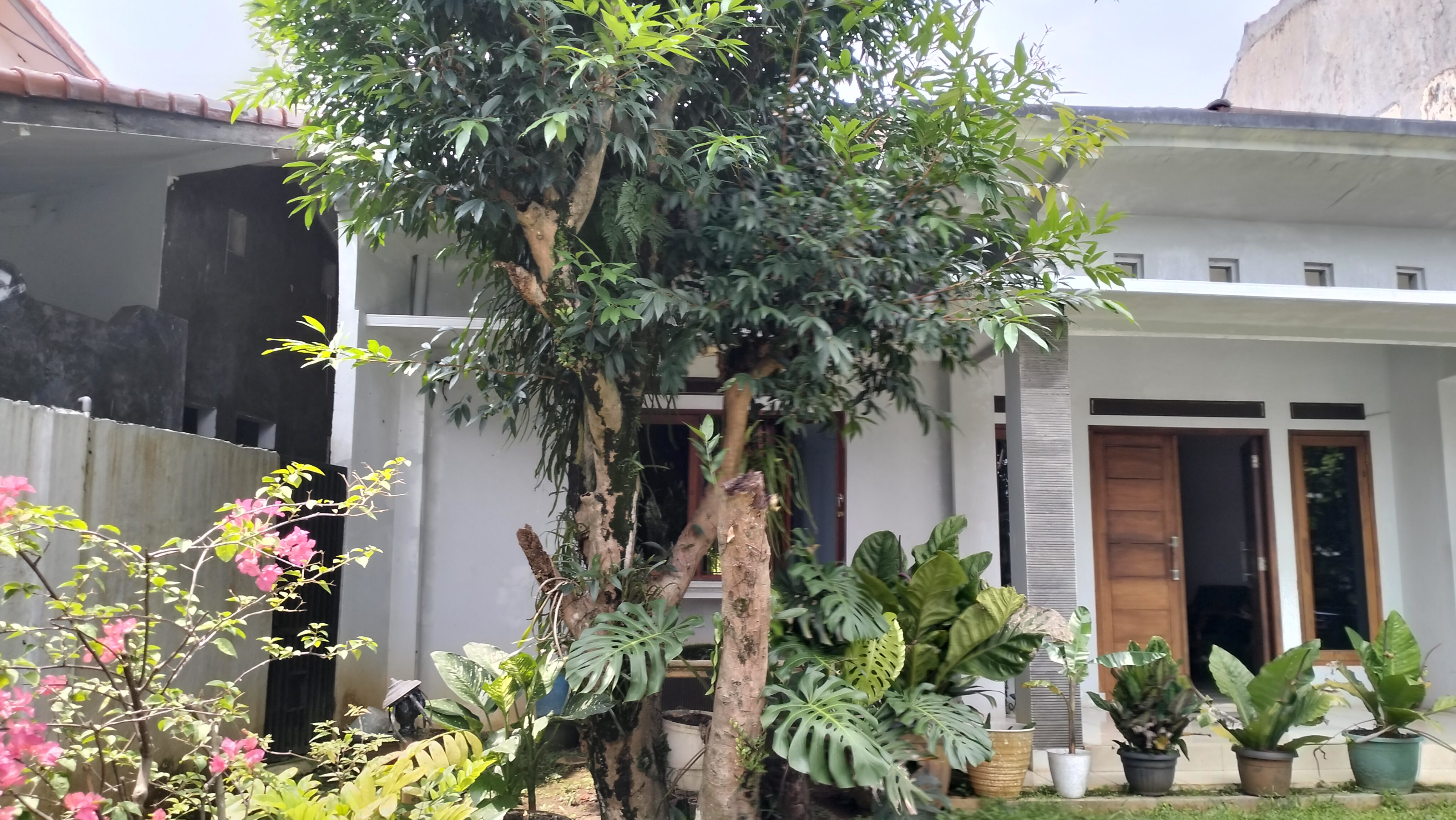 DIJUAL RUMAH DUA LANTAI DEPAN SOTO BANG BONIN SEMBOJA BOGOR BARAT - Foto 22