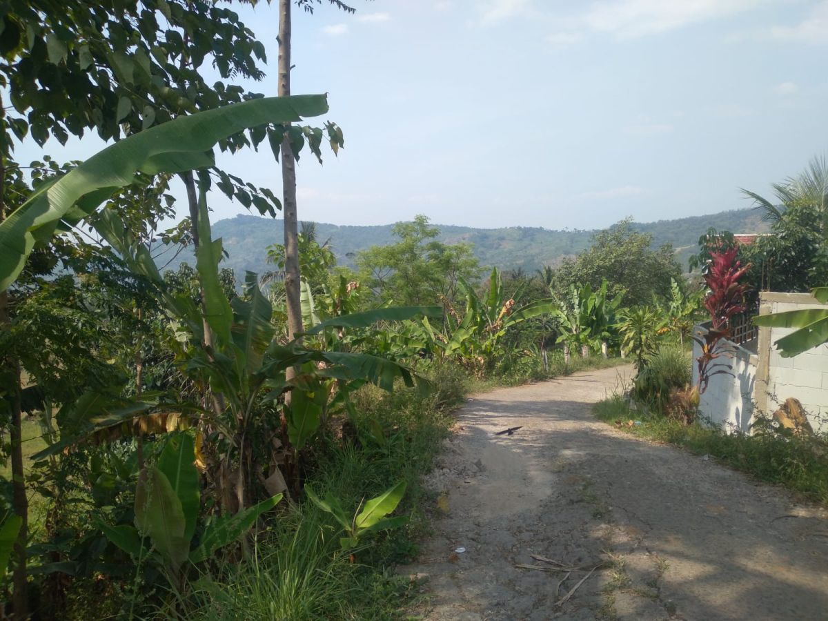 Dijual Tanah Kavling Daerah Cicurug Bogor Sukabumi Jawa Barat - Foto 4