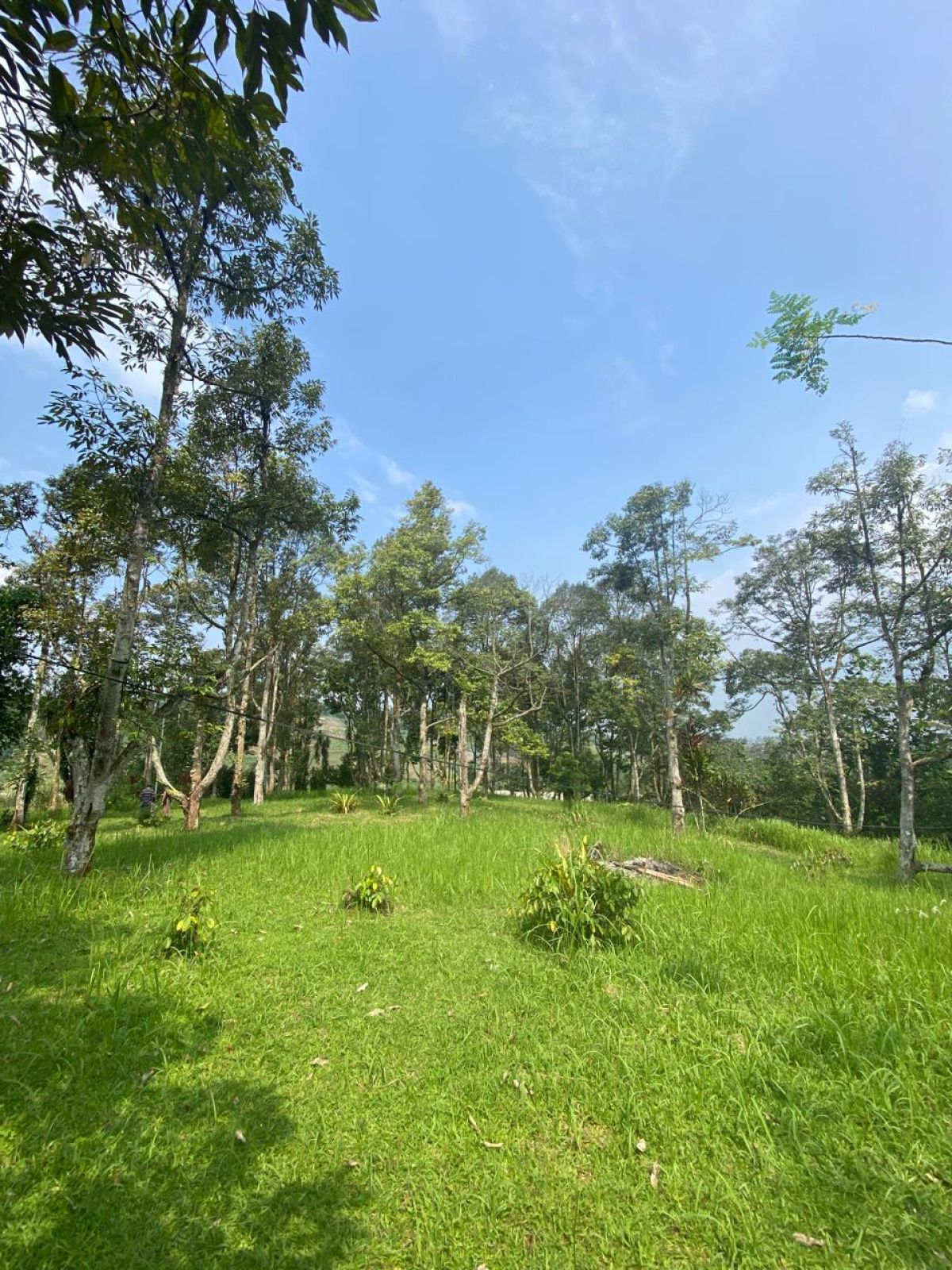 Dijual Tanah Kavling Daerah Cicurug Bogor Sukabumi Jawa Barat - Foto 6