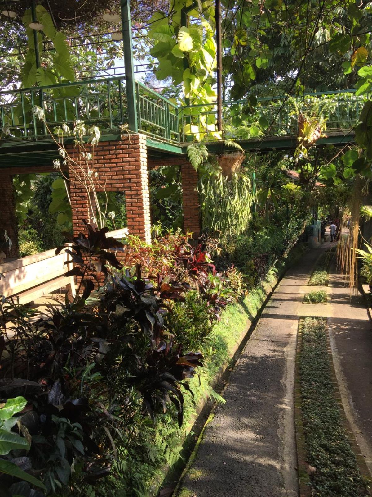 Dijual Tanah Kavling Daerah Cicurug Bogor Sukabumi Jawa Barat - Foto 7