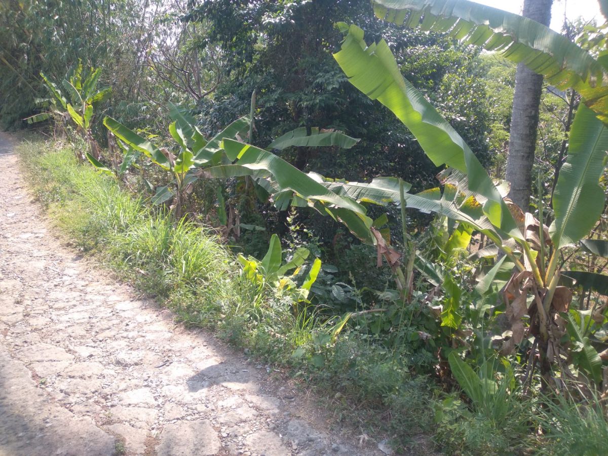 Dijual Tanah Kavling Daerah Cicurug Bogor Sukabumi Jawa Barat - Foto 9