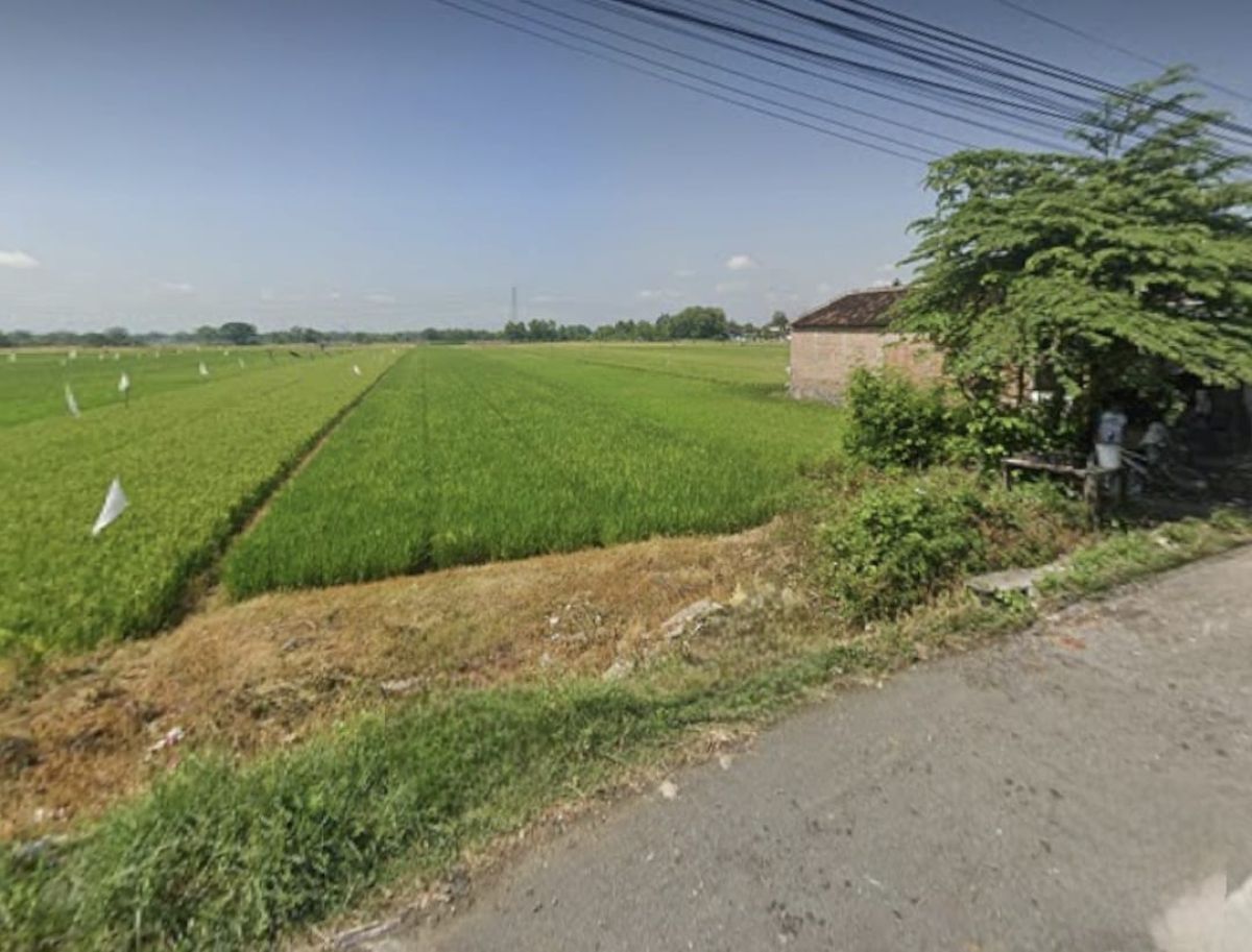 Tanah Murah Strategis di Jalan Raya Wonosari Pakis Klaten