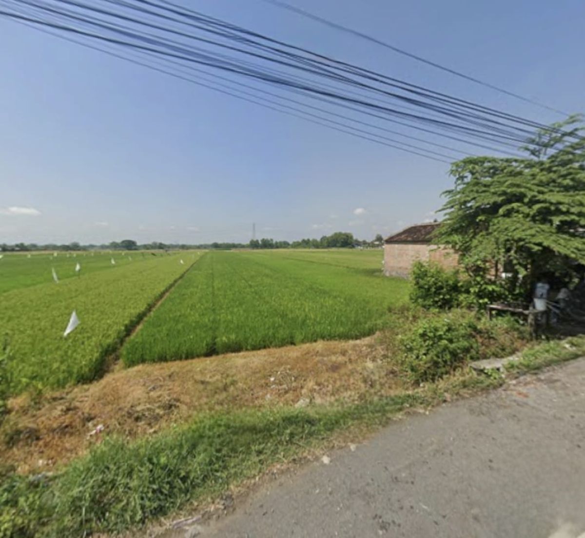Tanah Murah Strategis di Jalan Raya Wonosari Pakis Klaten - Foto 5