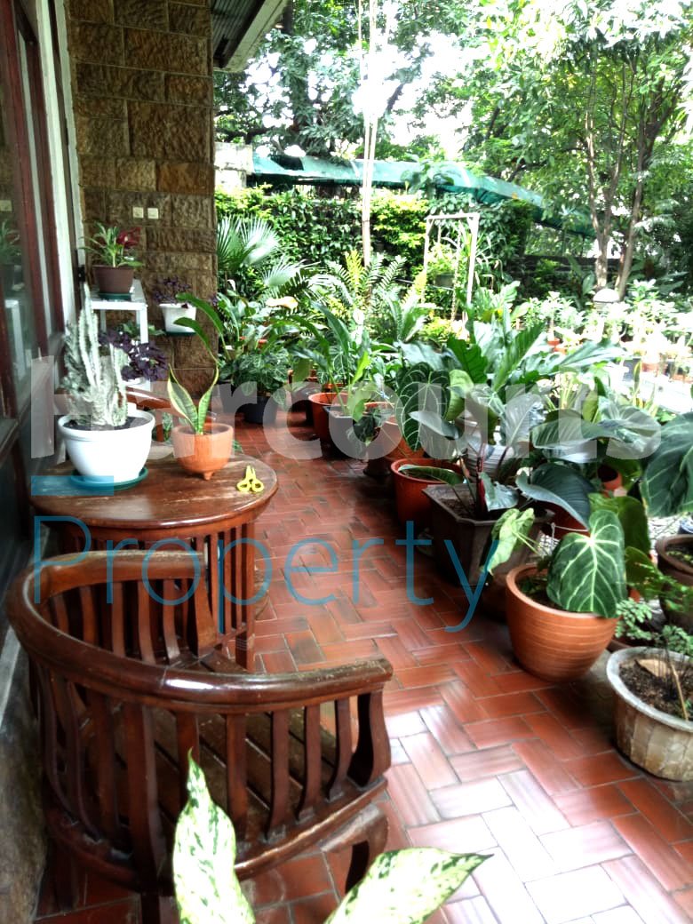 Dijual Rumah Lama Pinggir Jalan Area Jl. Kyai Maja Kebayoran Baru - Foto 4