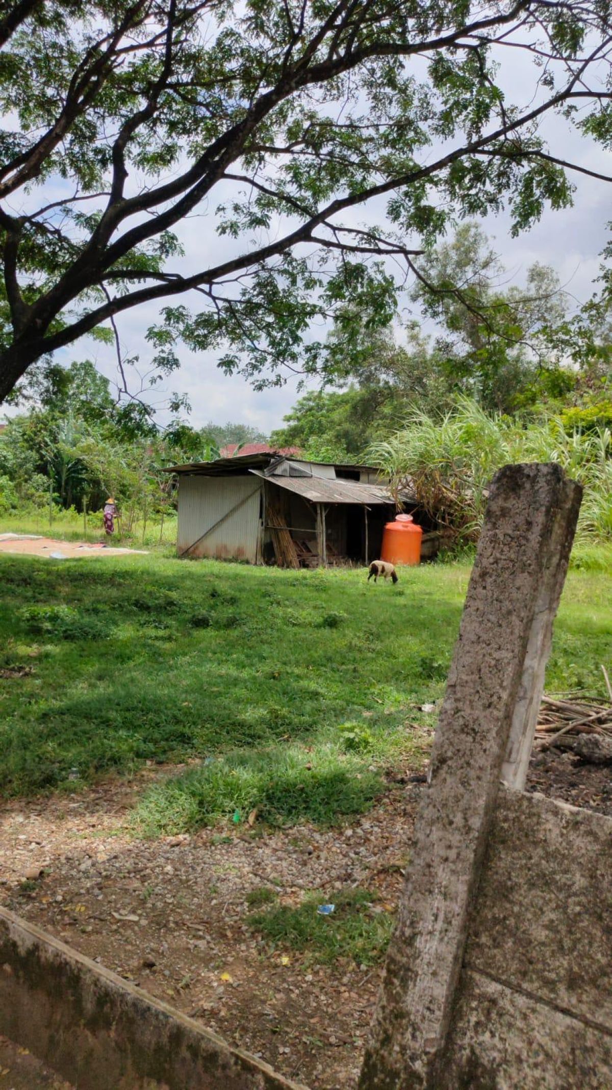 Dijual Lahan 7.3 ha Di Karawang Barat - Foto 8