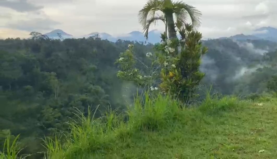 Jual lahan eksotis ada air terjun, diapit 2 sungai di Ubud, Bali