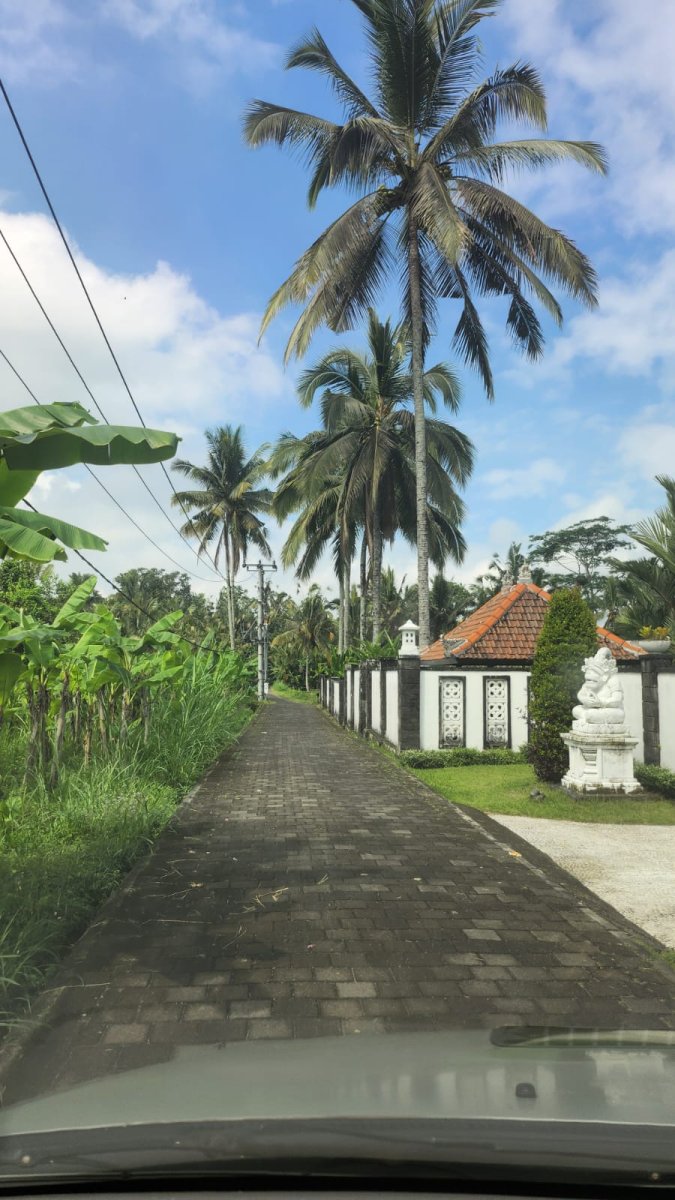 Jual lahan eksotis ada air terjun, diapit 2 sungai di Ubud, Bali - Foto 2