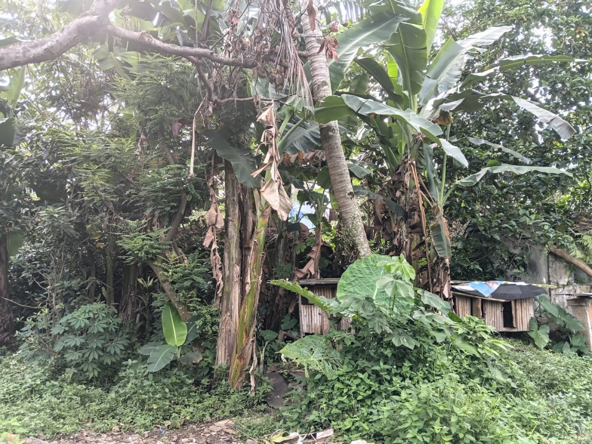 Tanah Kavling Premium di Empang Bogor, Lokasi Emas Dekat Pusat Kota - Foto 8