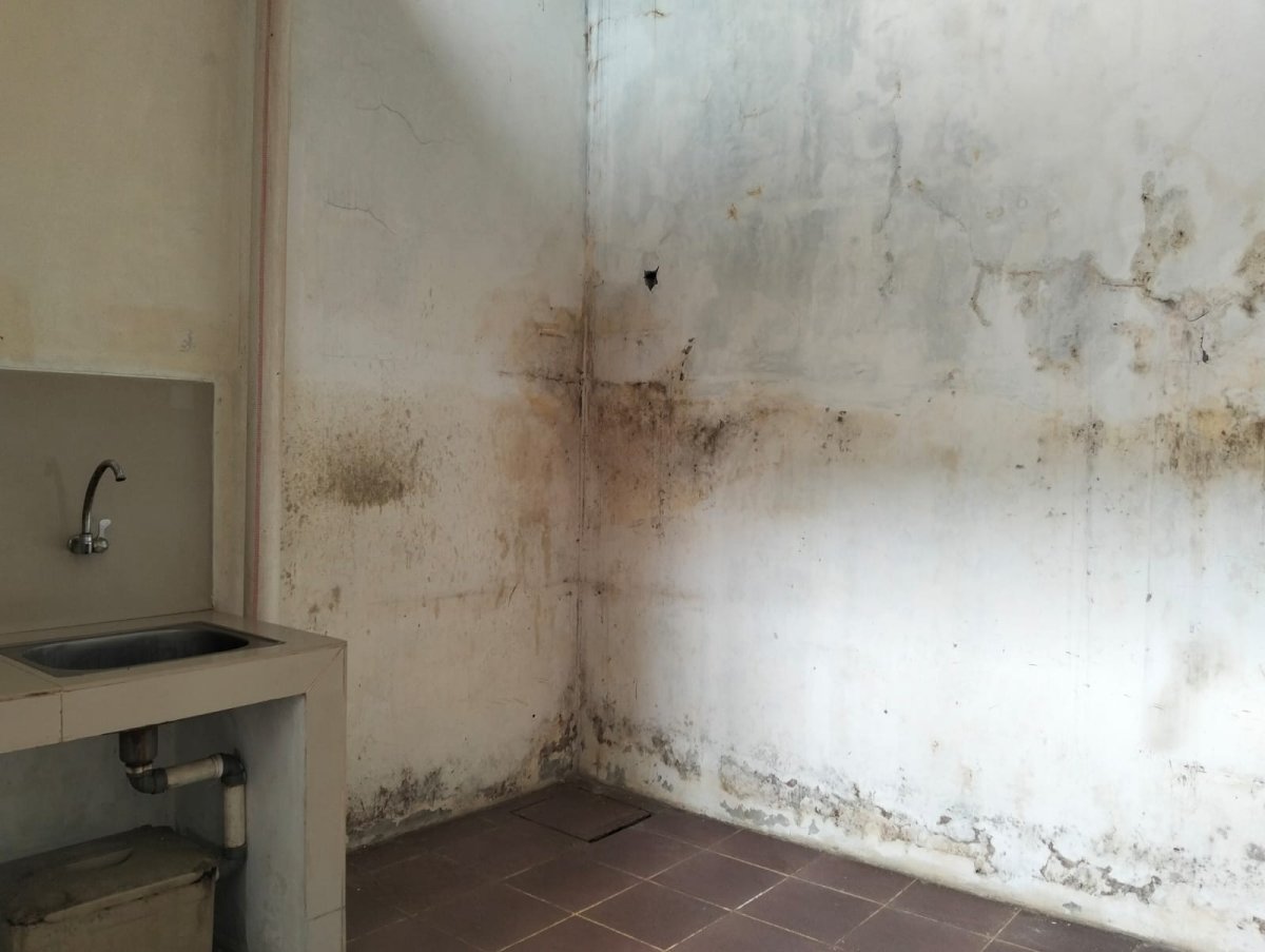 Dijual Rumah Minimalis 1 Lantai di Perumahan Serpong Garden 2, Cisauk - Foto 7