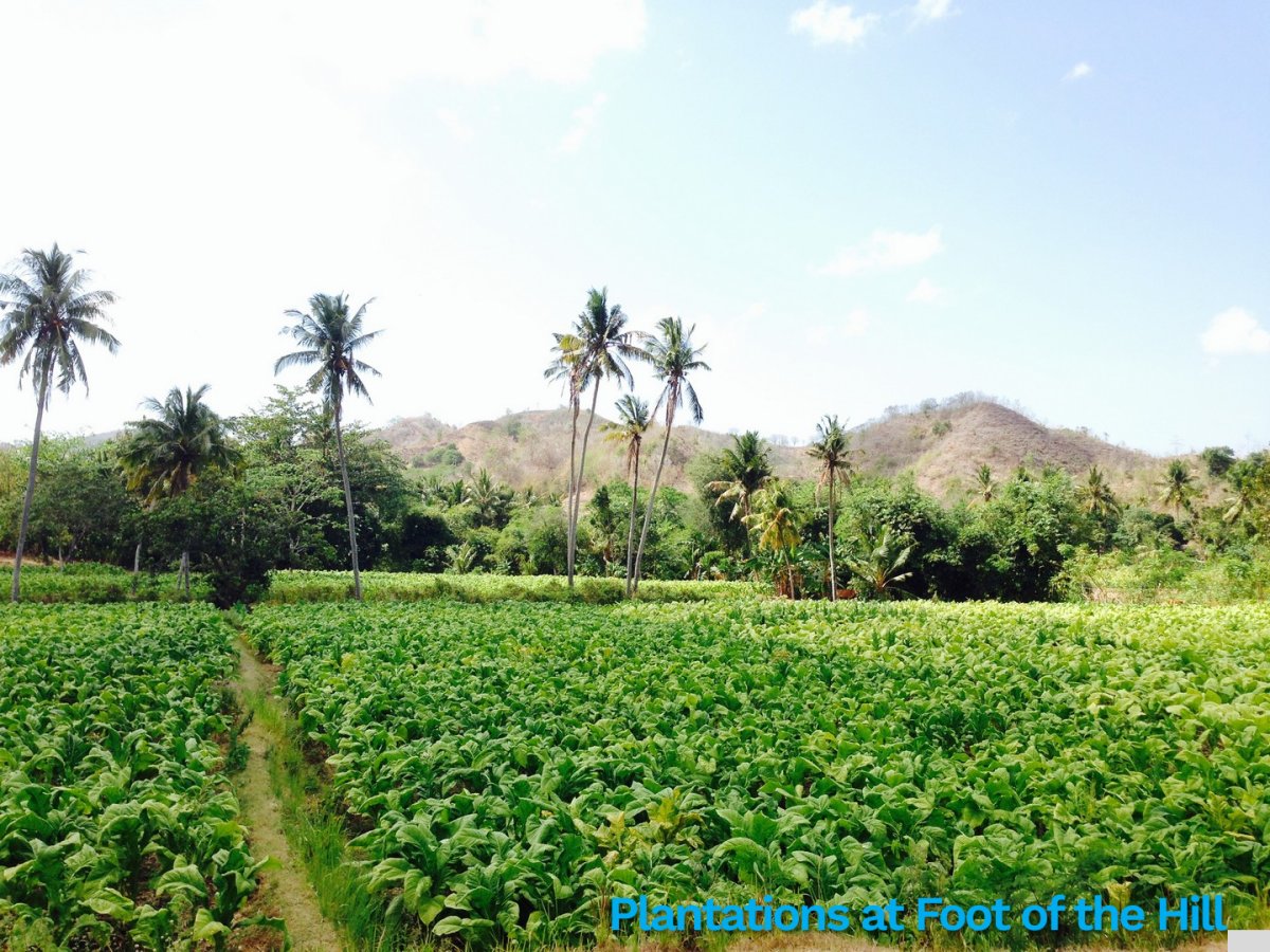 Build-Ready Ocean View Land with Full Infrastructure in Selong Belanak – Lombok - Foto 4