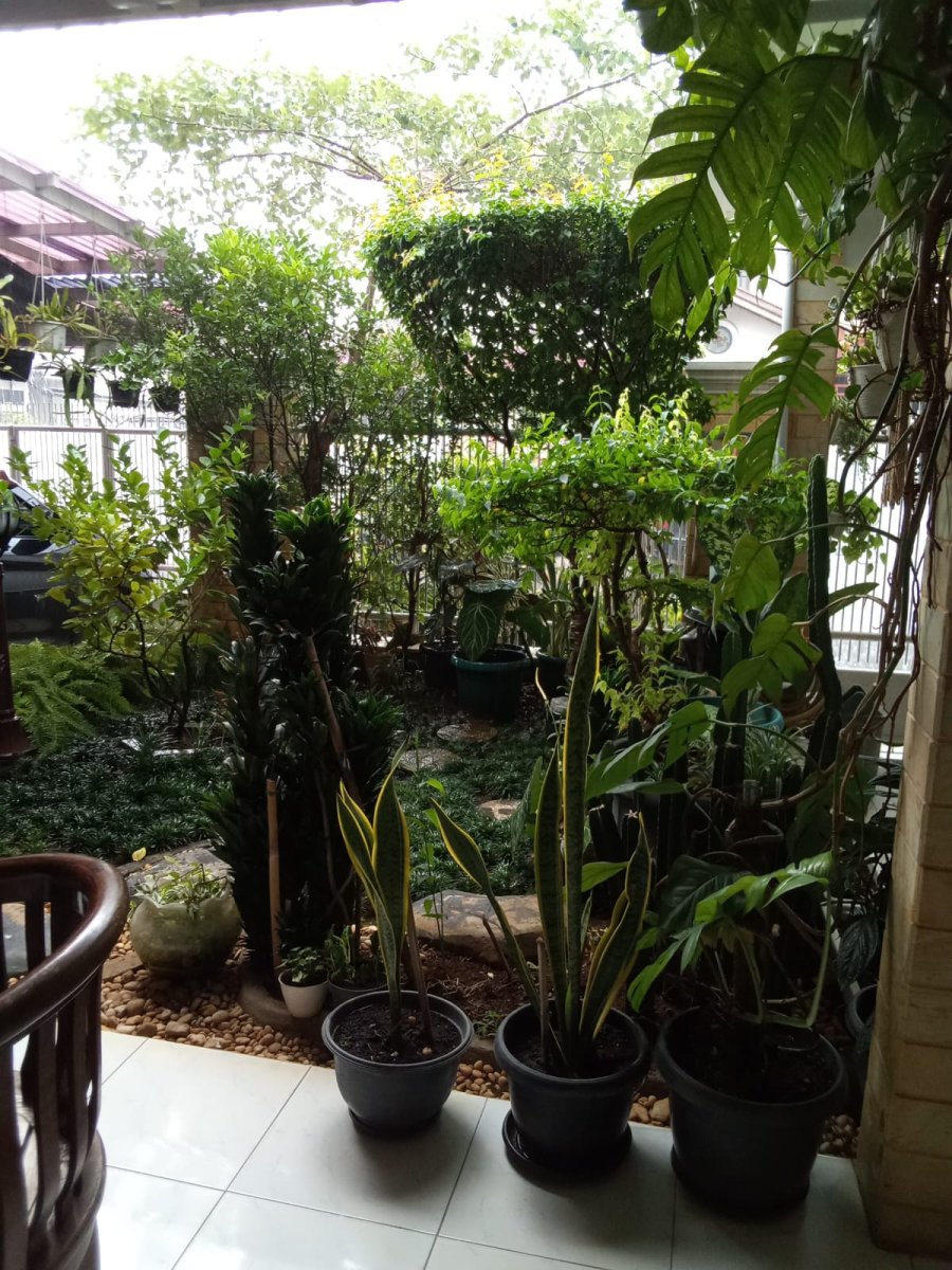 Rumah Strategis di Jl. Seroja Raya Taman Yasmin - SIAP  HUNI!