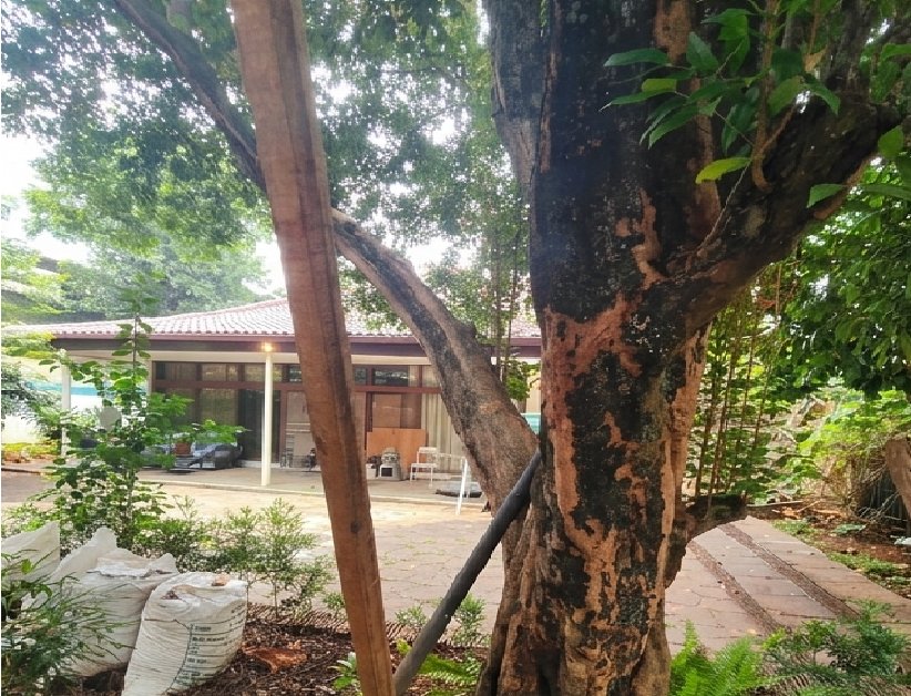Dijual Tanah dan Rumah Usaha Strategis di Kawasan Kemang, Jakarta Selatan - Foto 5
