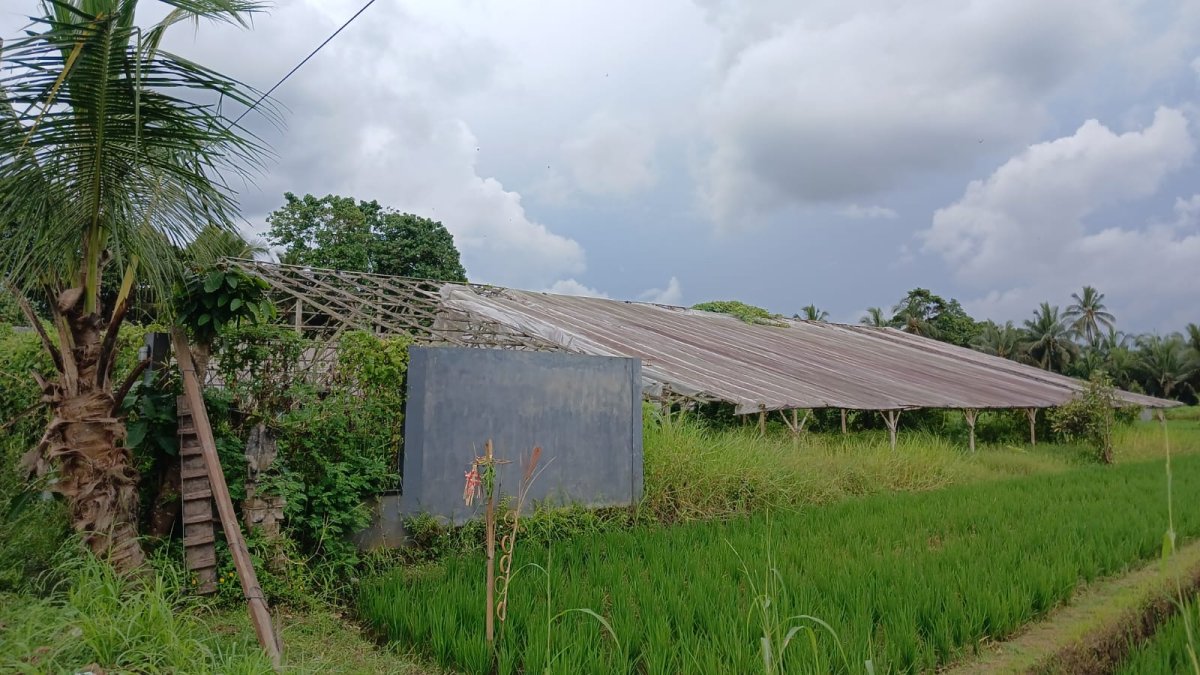 Oase Agribisnis & Retreat Pribadi di Jantung Penebel - Foto 2