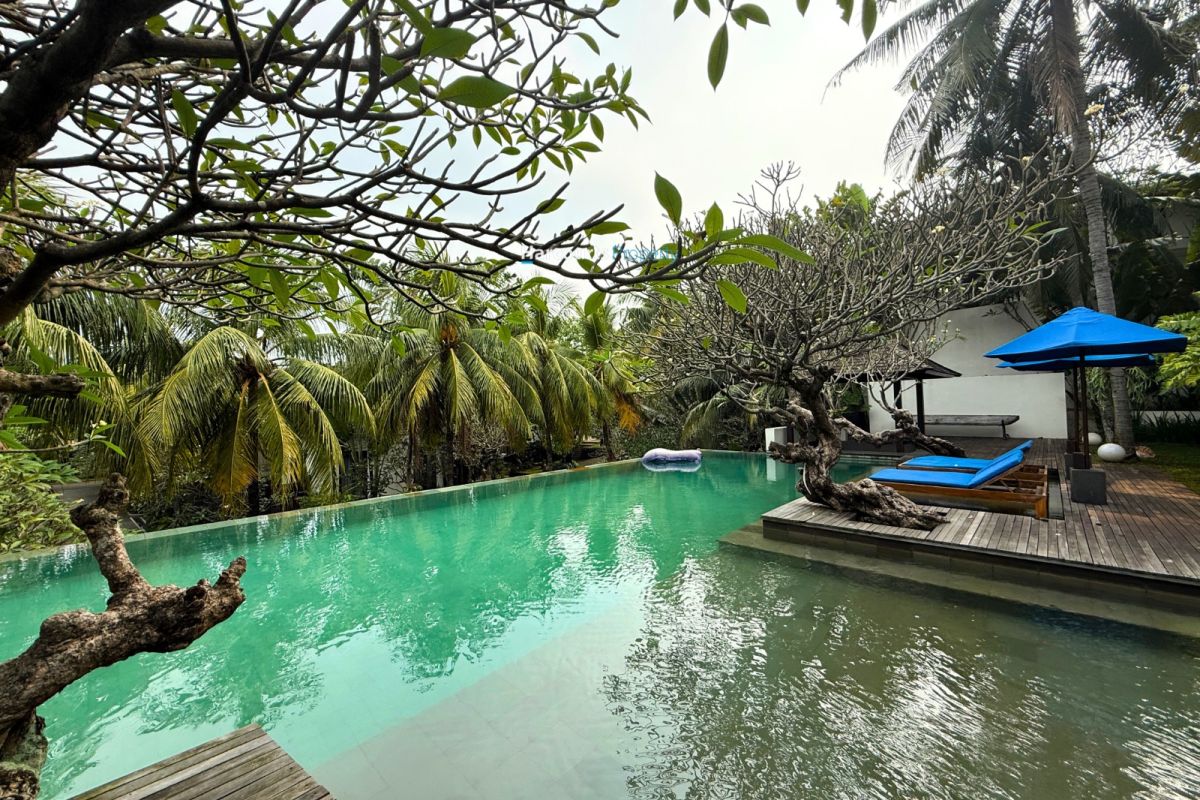Disewakan Private Luxury Tropical Vibe Resort Apartment Area Cilandak - Jaksel