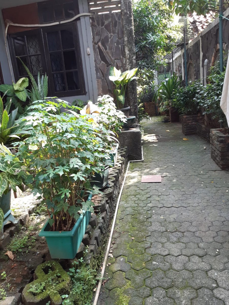 Dijual Rumah Luas & Nyaman di pegangsaan, Menteng, Jakarta Pusat - Foto 9