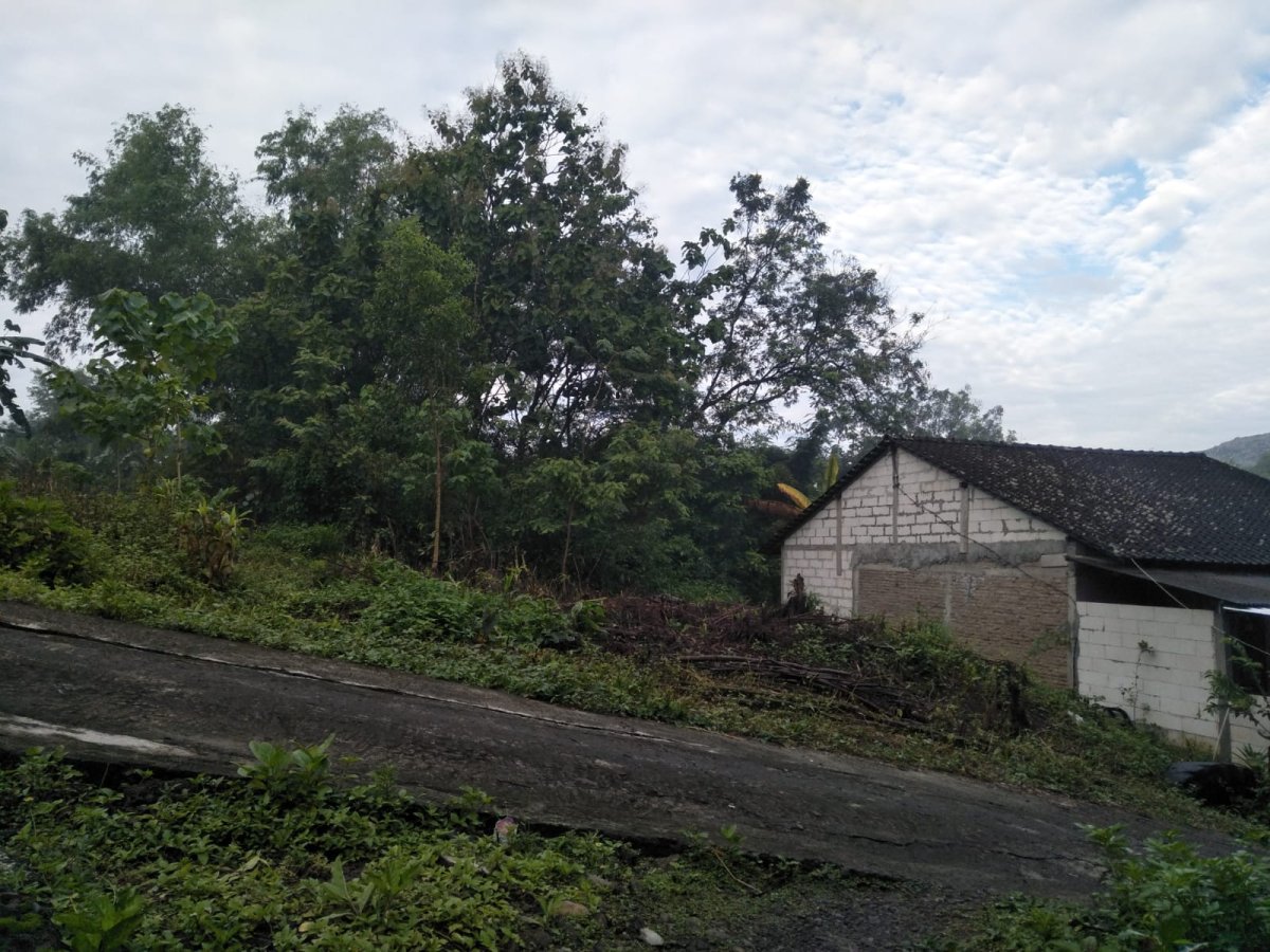 Tanah Pekarangan Strategis di Plesungan Solo Dekat Ringroad, SHM, Akses Mobil & Truk, Harga 900 Rb/m²