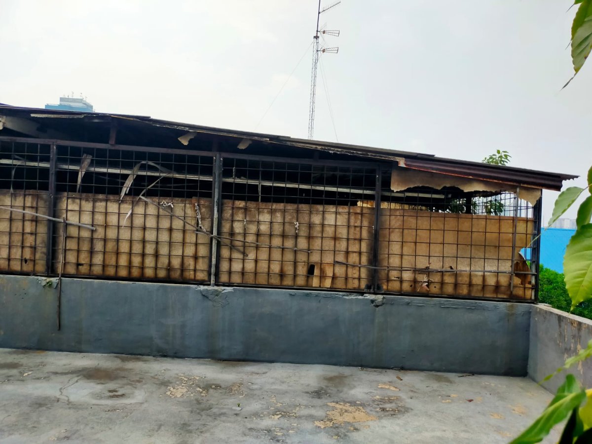 Ruko Komersil 3,5 Lantai di Pangeran Jayakarta, Sawah Besar Jakarta Pusat ZM - Foto 3