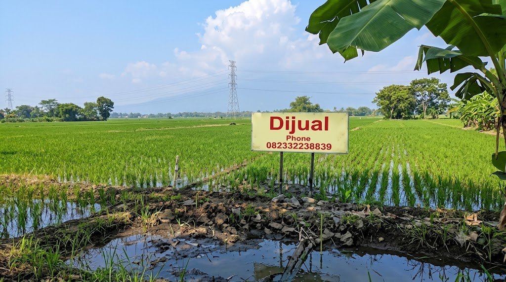 Lelang lahan Sawah Loksi @Jl Dusun, Desa Kembangsari, Kec. Ngoro, Mojokerto Jawa Timur