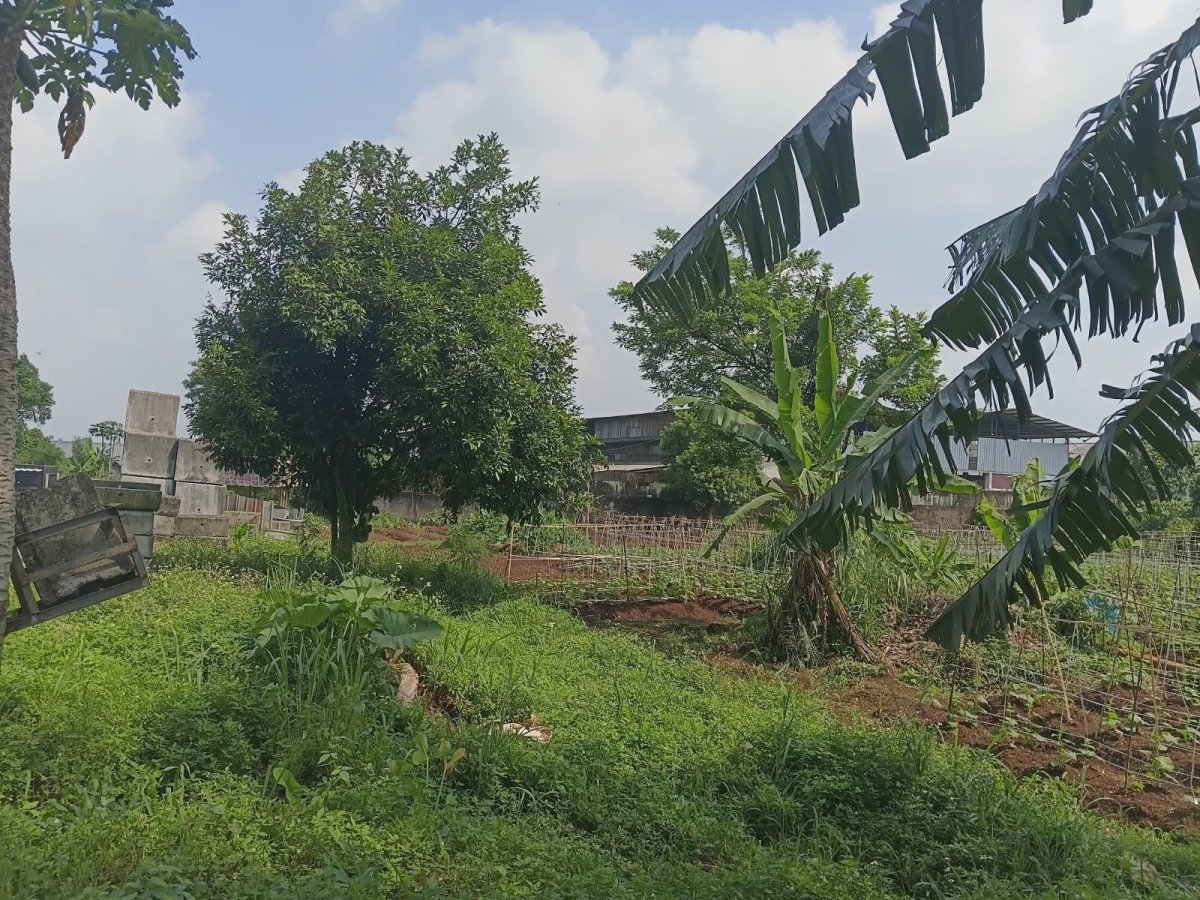 Disewakan Tanah Strategis di Jalan Lanbau - Cibinong - Foto 3