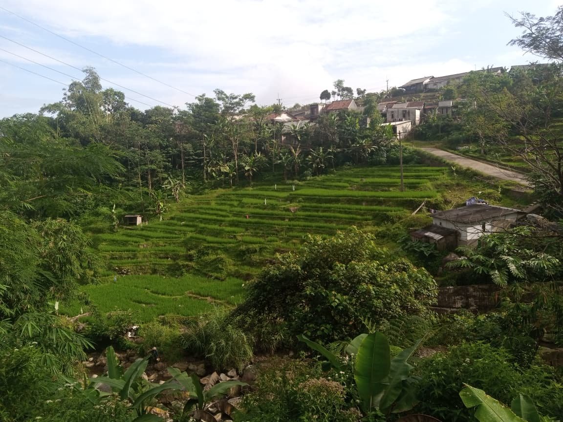 Tanah Strategis di Gunung Salak Endah - Foto 6