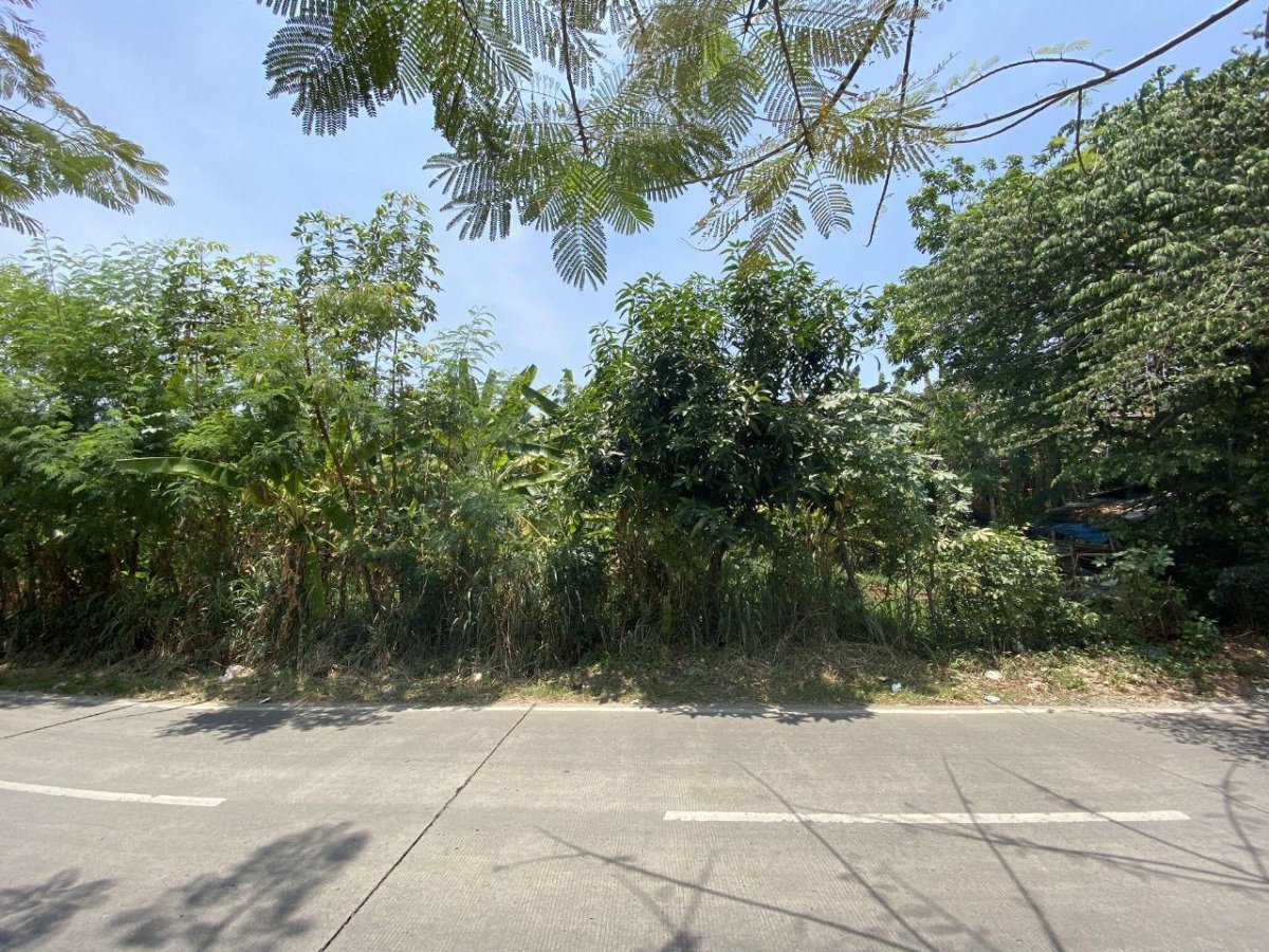 Dijual Tanah Kavling Luas 240 m² di Pinggir Toll Serua, Tangerang Selatan - Foto 3