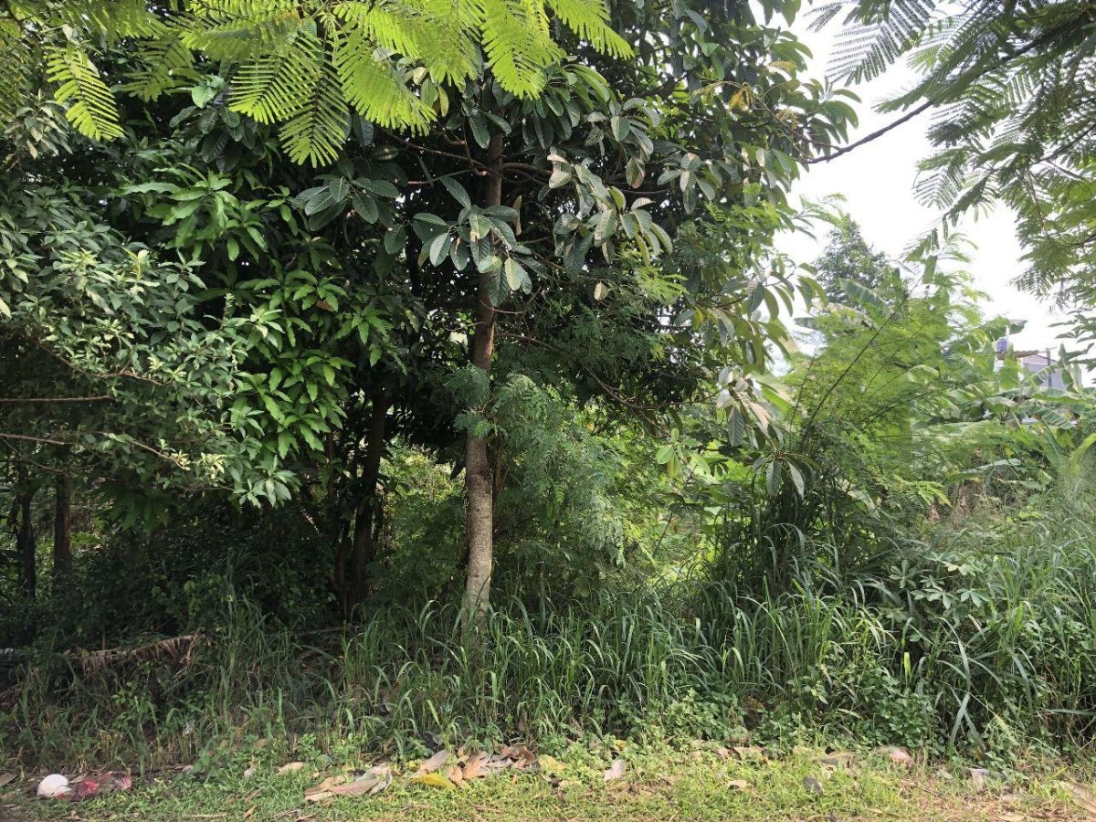 Dijual Tanah Kavling Luas 240 m² di Pinggir Toll Serua, Tangerang Selatan - Foto 4