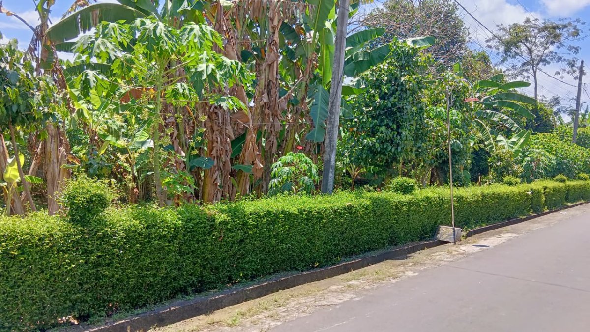 Dijual cepat tanah pekarangan dengan posisi Hook (2 muka) di Alastuwa, Kebakkeramat.