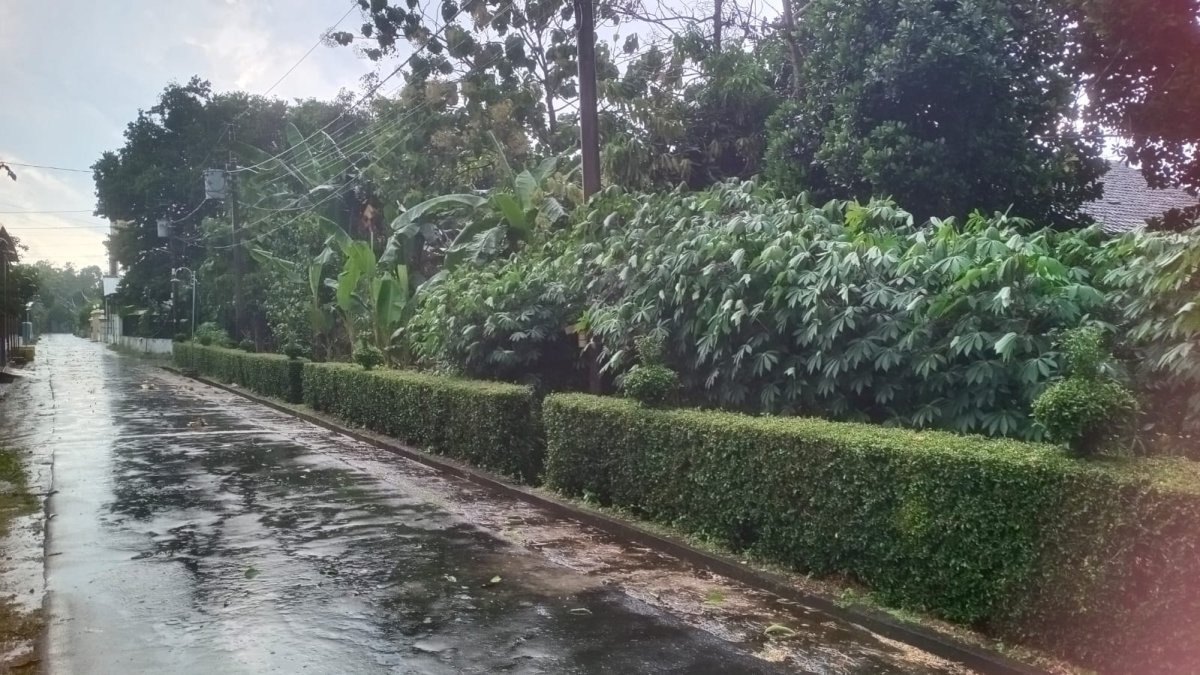 Dijual cepat tanah pekarangan dengan posisi Hook (2 muka) di Alastuwa, Kebakkeramat. - Foto 5