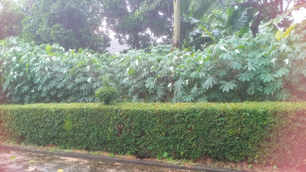 Dijual cepat tanah pekarangan dengan posisi Hook (2 muka) di Alastuwa, Kebakkeramat. - Foto 8