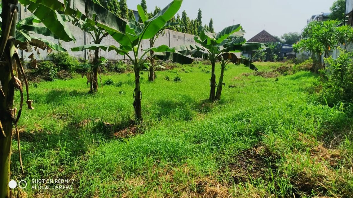 Dijual tanah pinggir jalan Colomadu Karanganyar Solo Jawa Tengah - Foto 3
