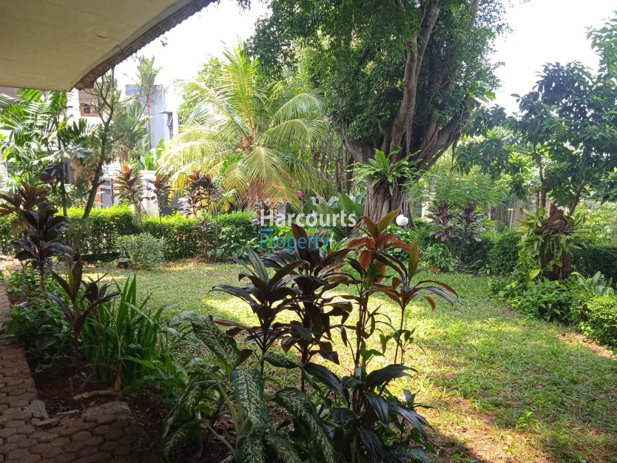Dijual Rumah Lama Area Jl. Lido Puri Cinere - Foto 9