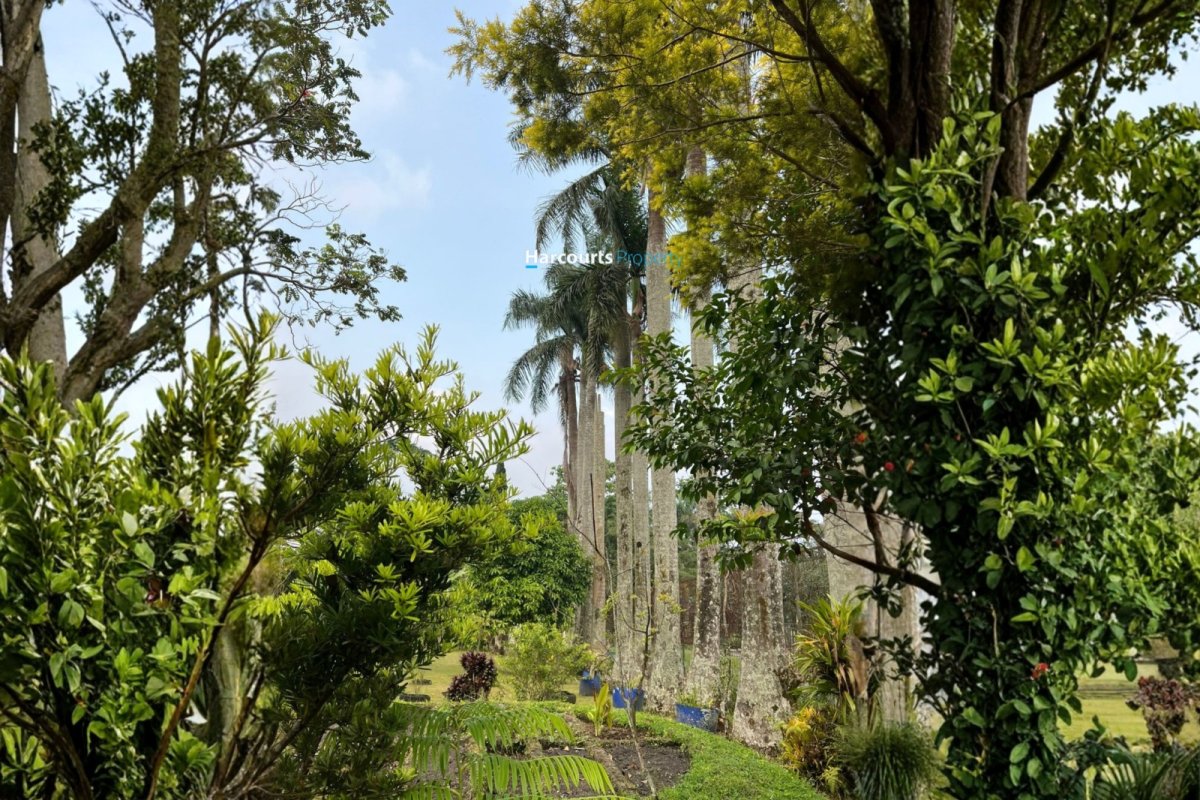 Dijual Villa Modern Tropis View Pegunungan Lingkungan Asri dan Tenang di Puncak, Bogor - Foto 2